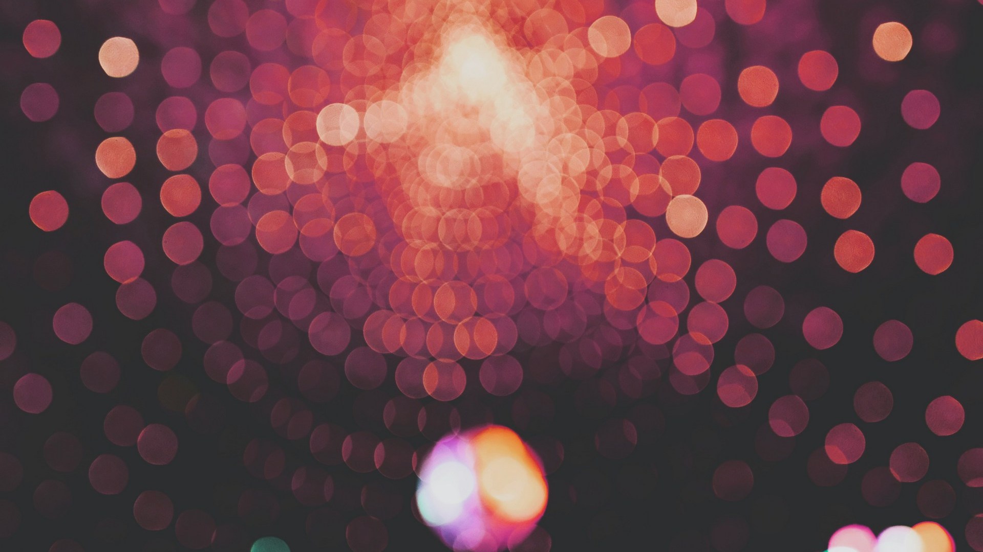 Специальный проект