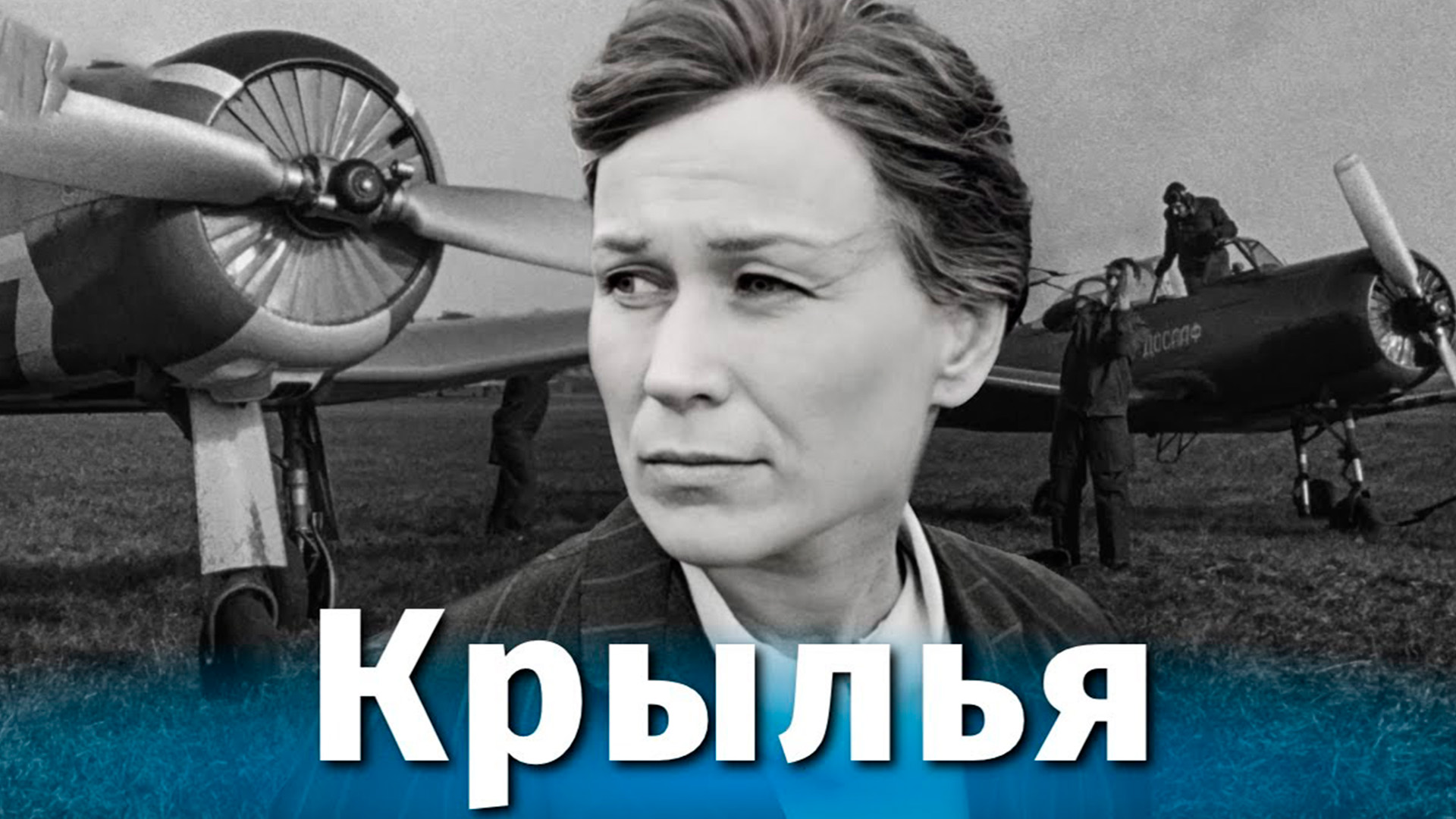 Крылья