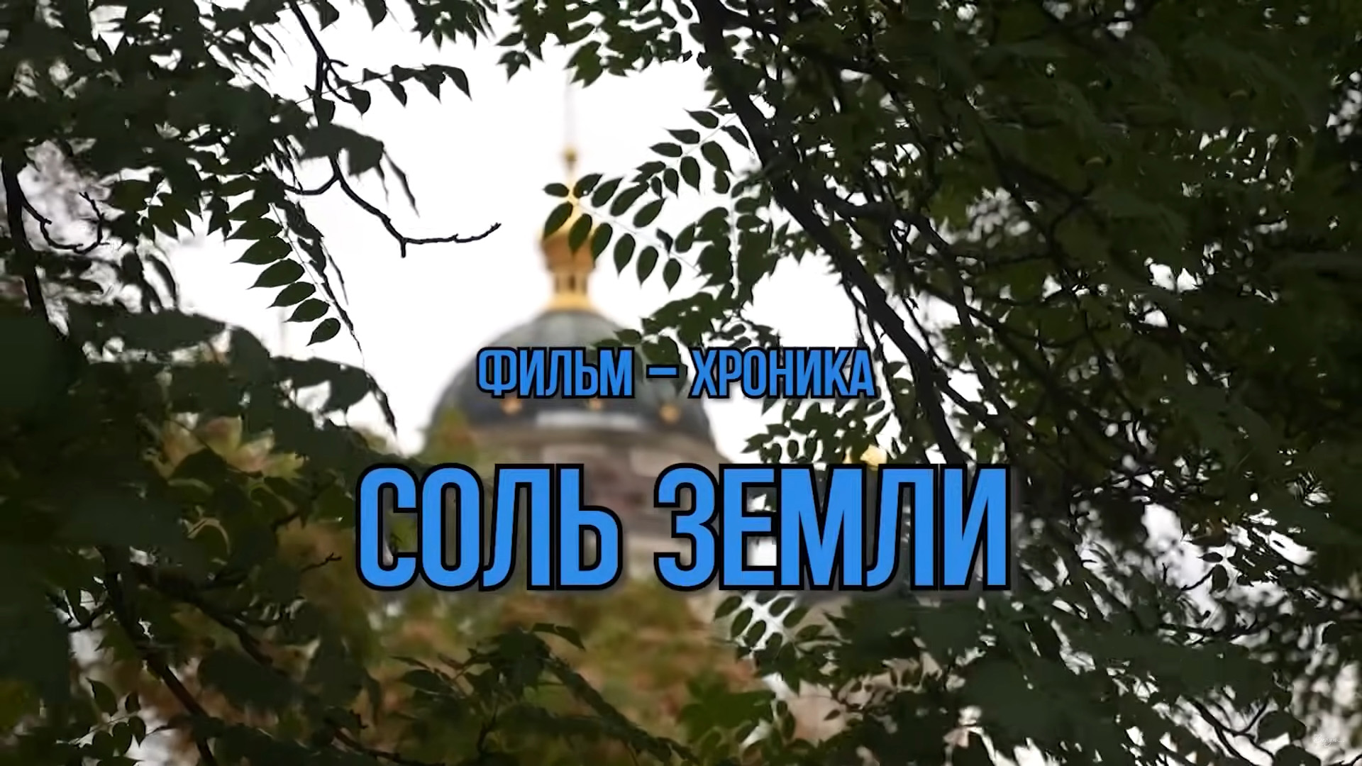Соль земли
