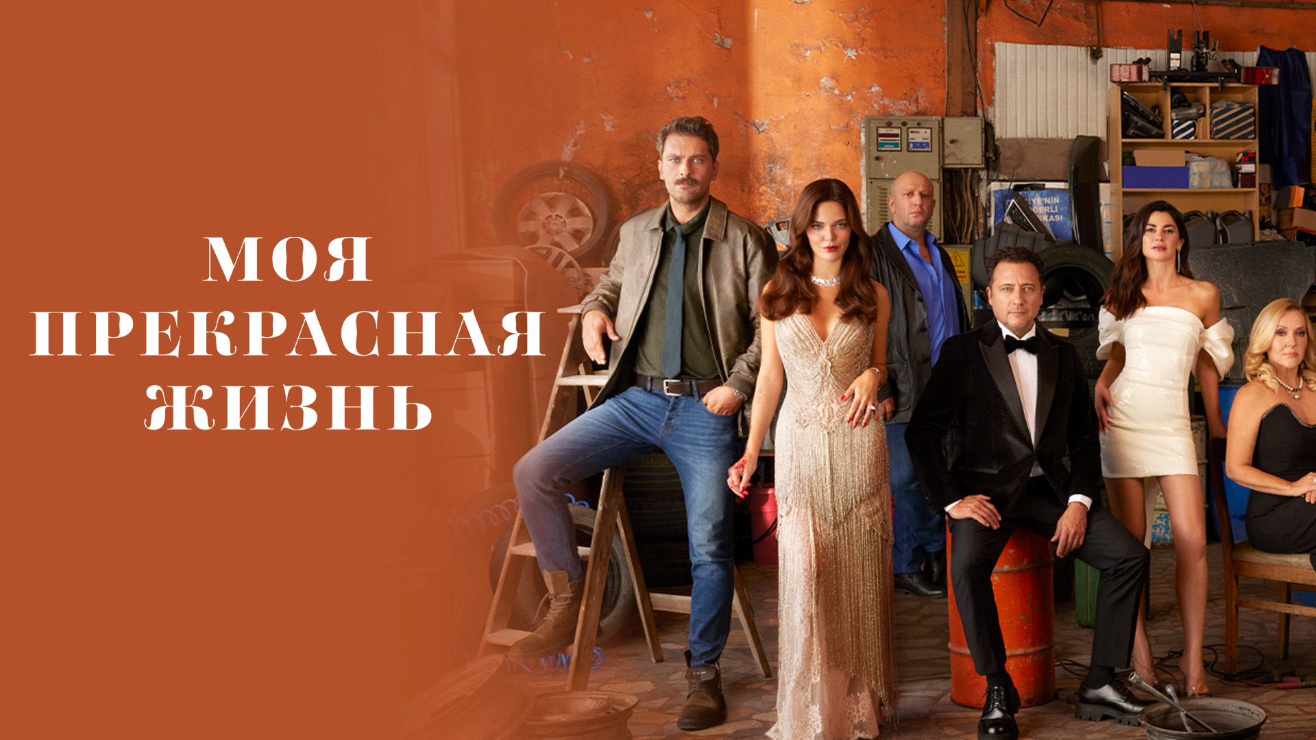 Моя прекрасная жизнь