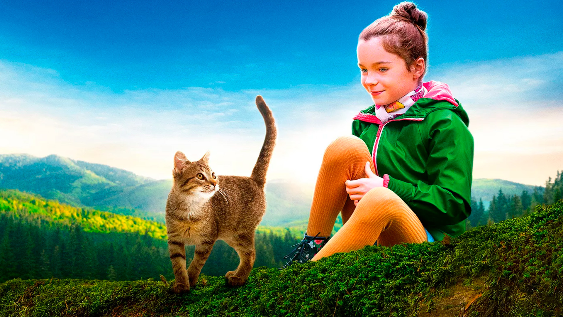 Мой котик и я