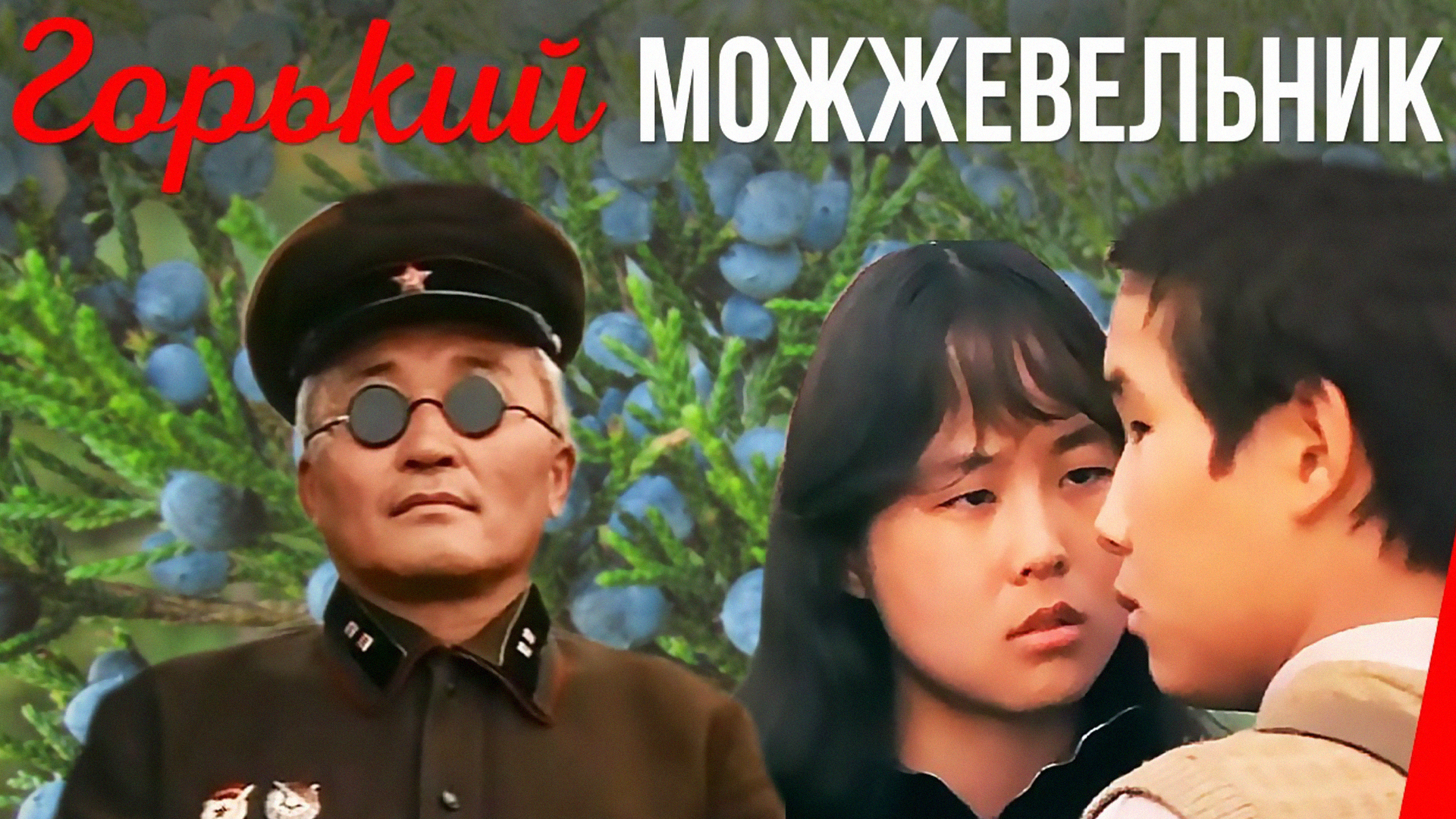 Горький можжевельник