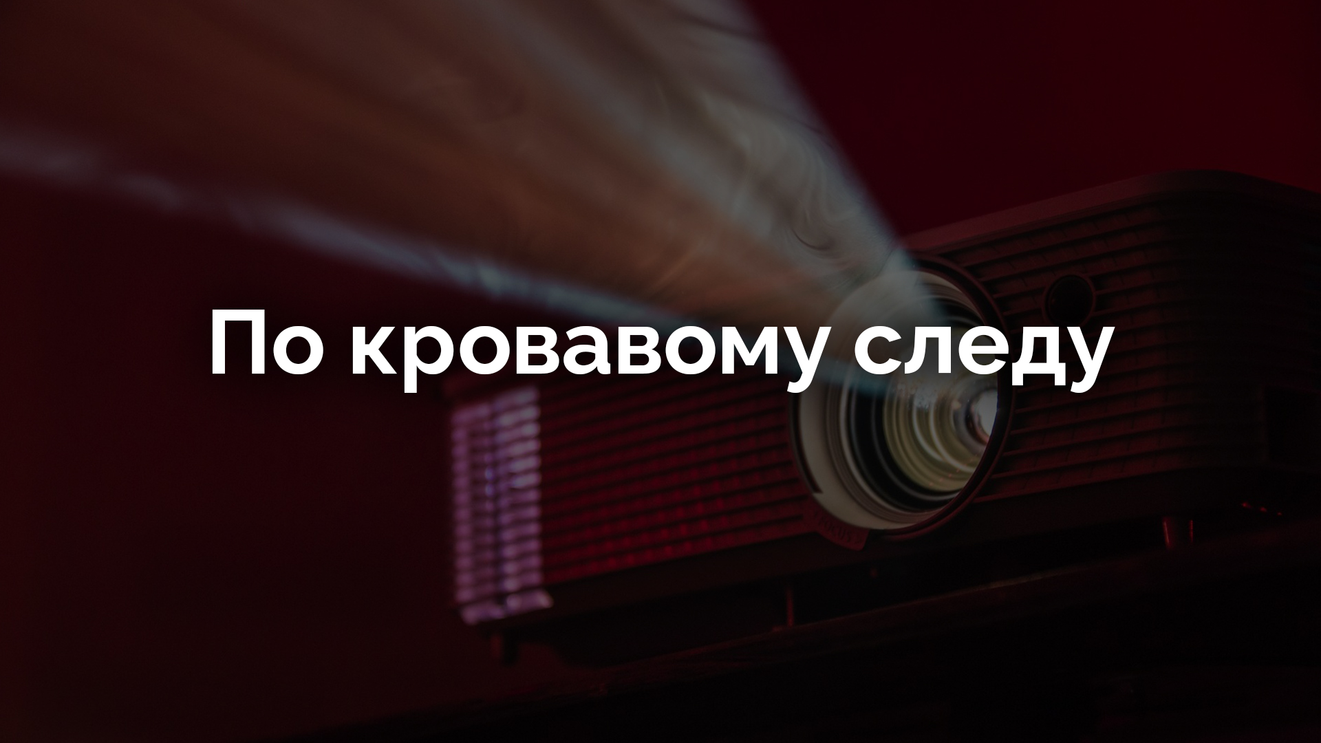 По кровавому следу