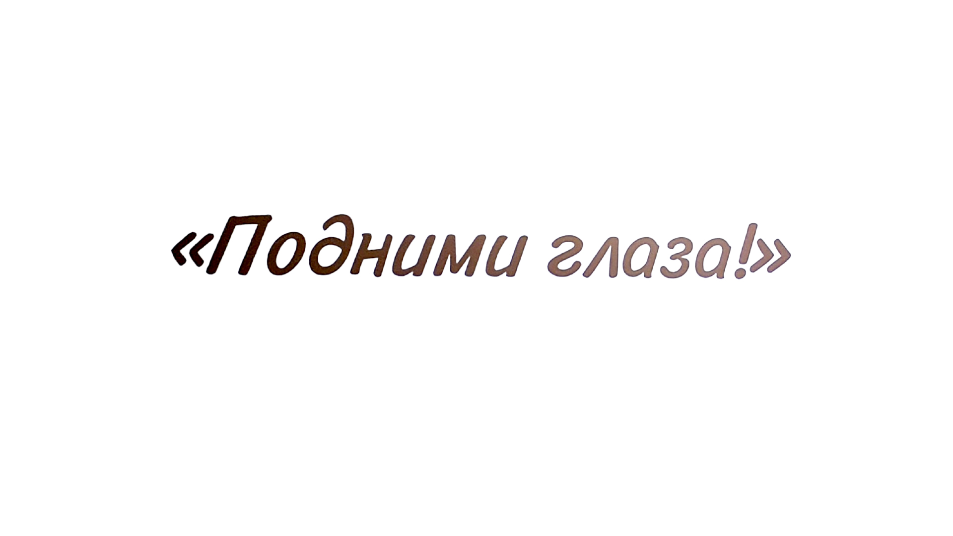 Подними глаза! Новый Петербург в рассказах архитекторов