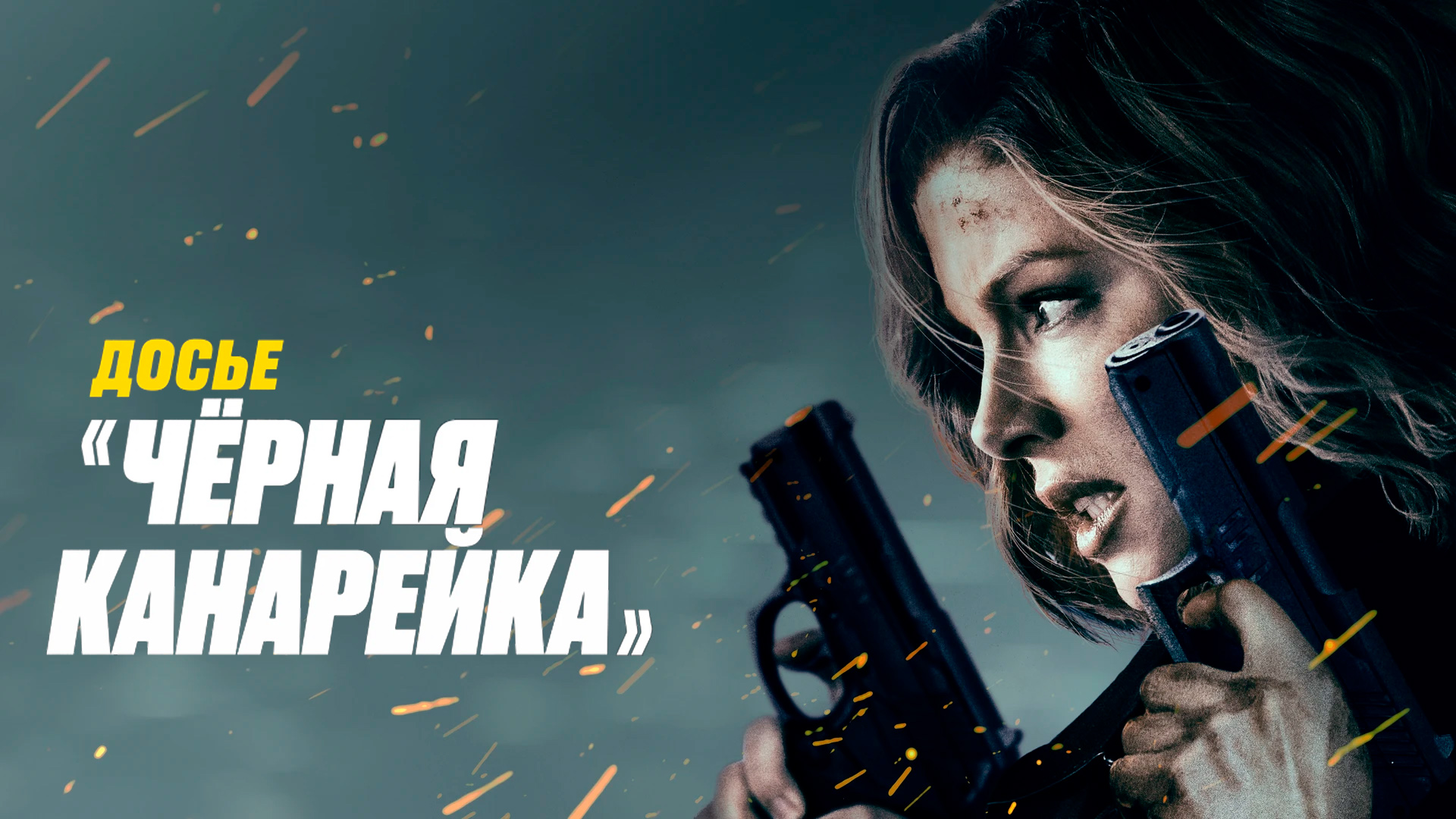 Досье «Чёрная канарейка»