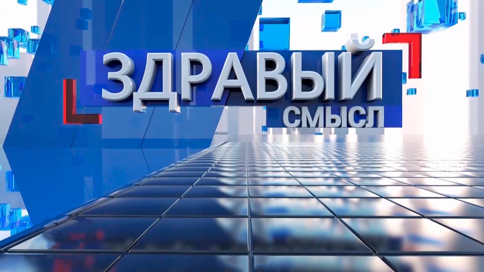 Здравый смысл