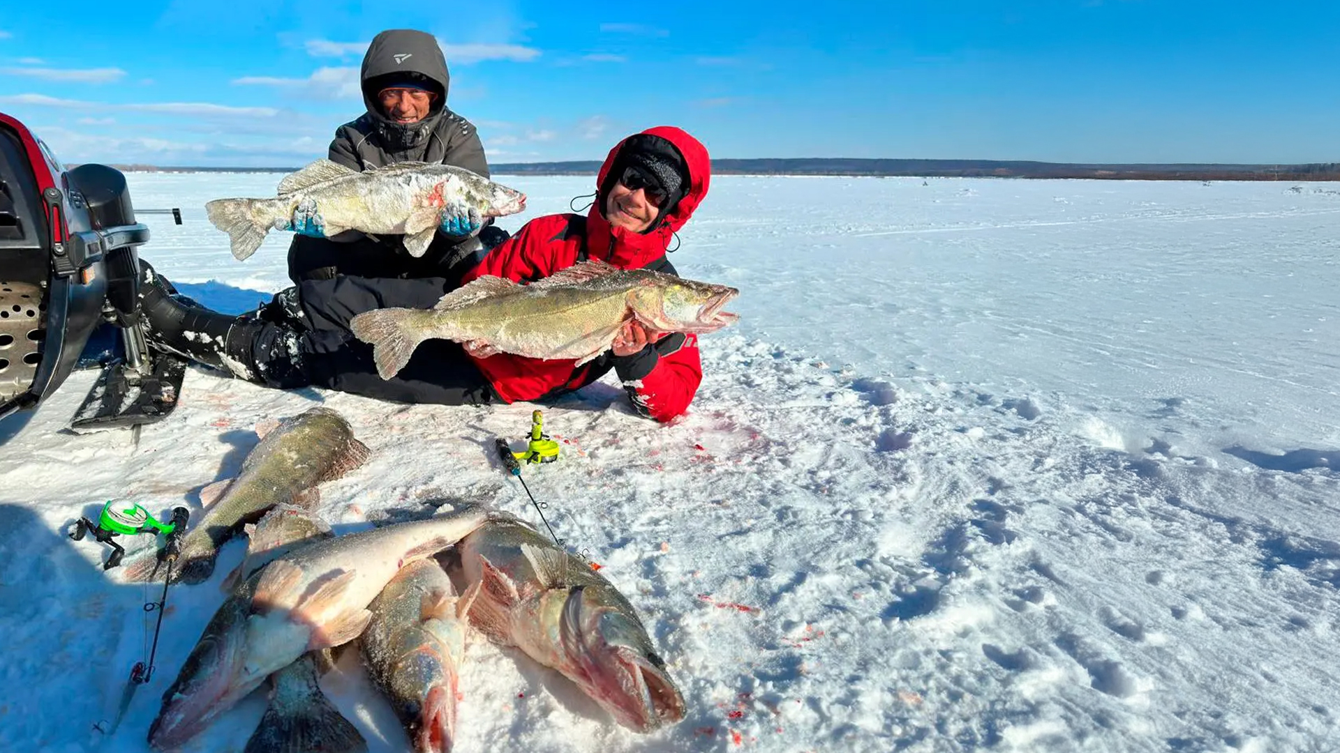 Огромные судаки Горьковского водохранилища