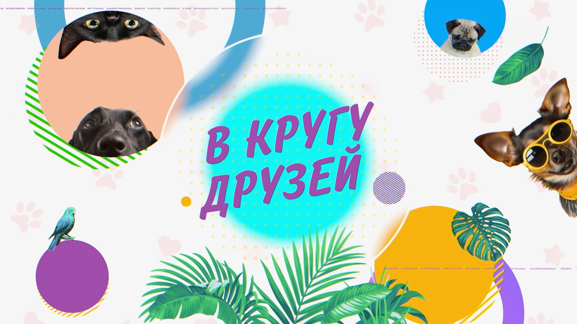 В кругу друзей