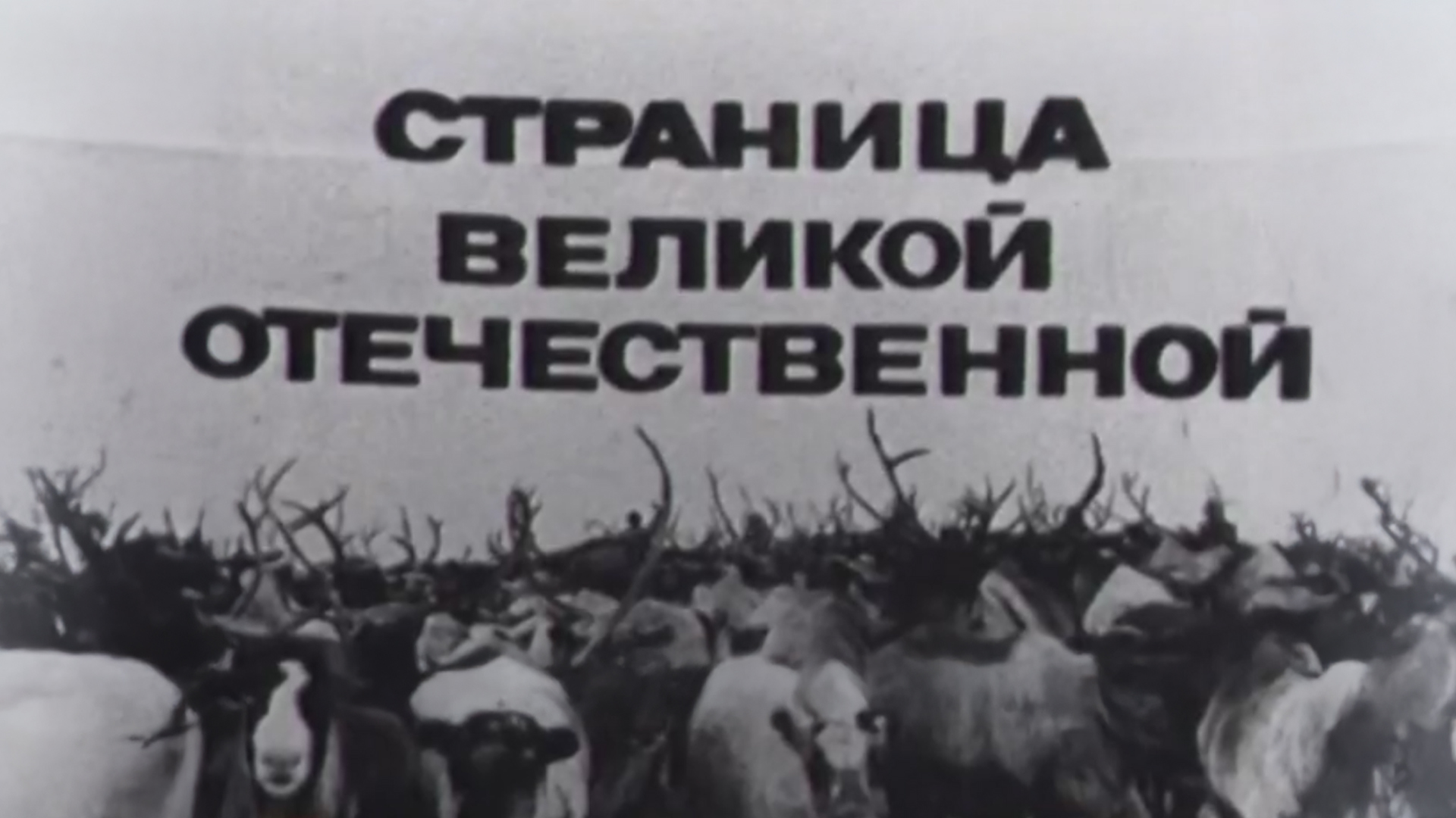 Страница Великой Отечественной