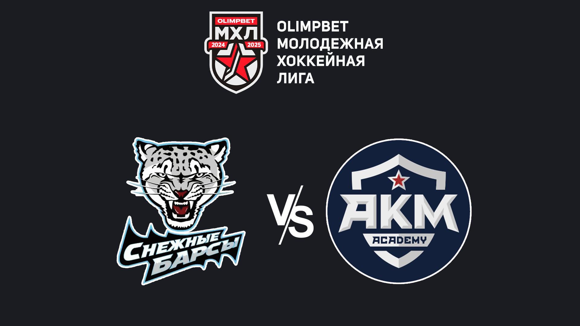 OLIMPBET Чемпионат МХЛ. «Снежные Барсы» - «АКМ-Новомосковск»