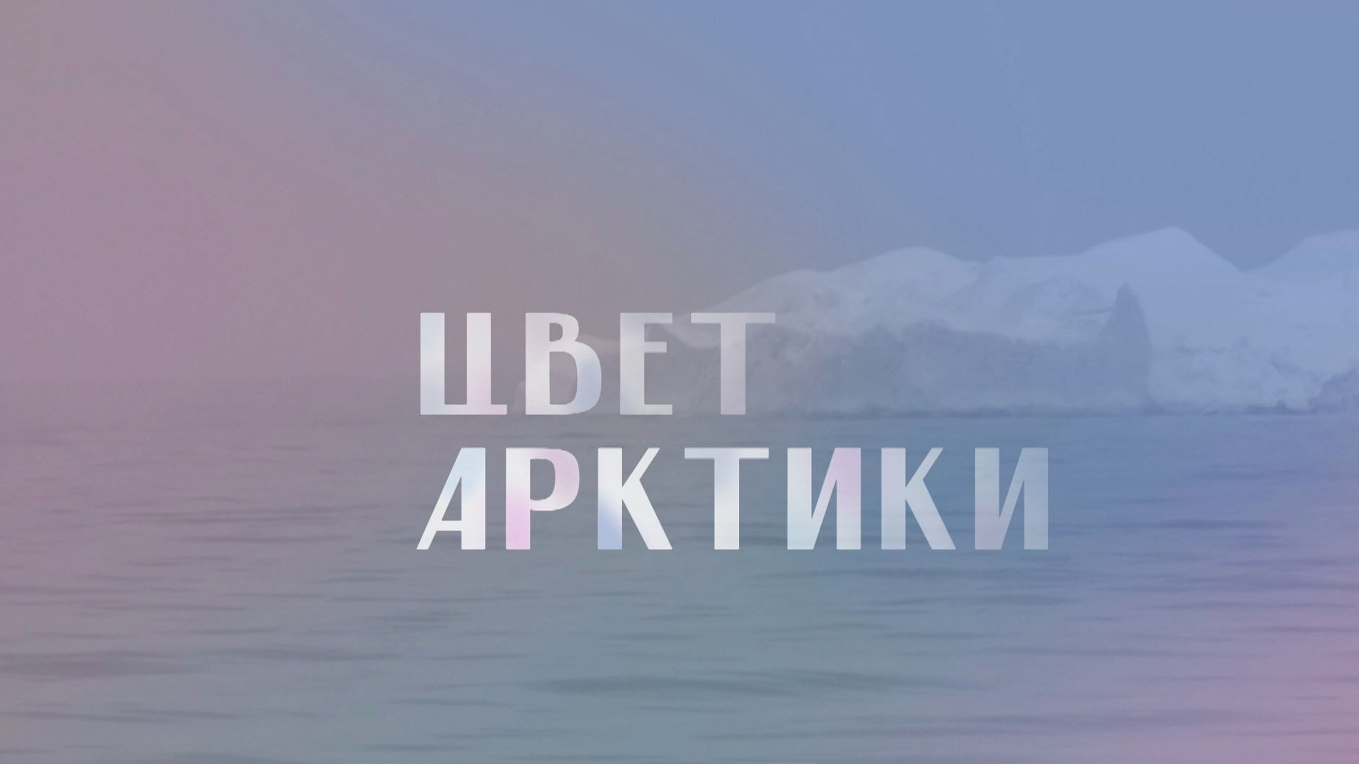 Цвет Арктики