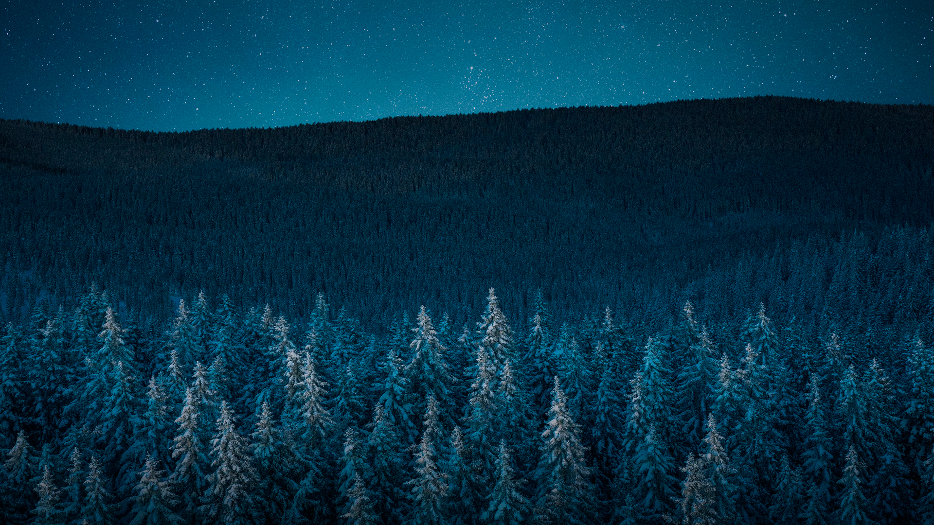 Чёрная вдова