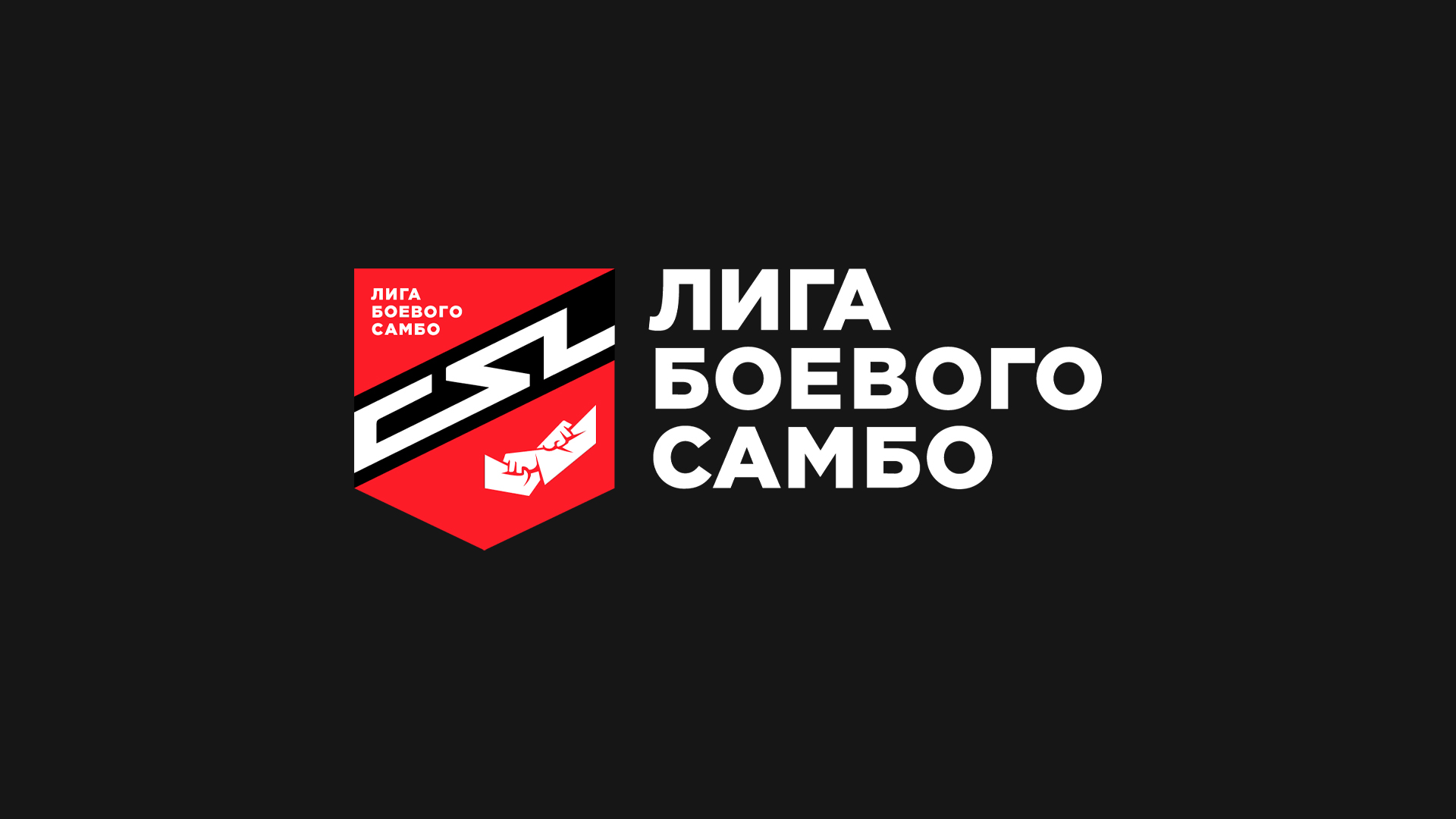 Самбо. Международные соревнования «Лига боевого самбо». Трансляция из Санкт-Петербурга