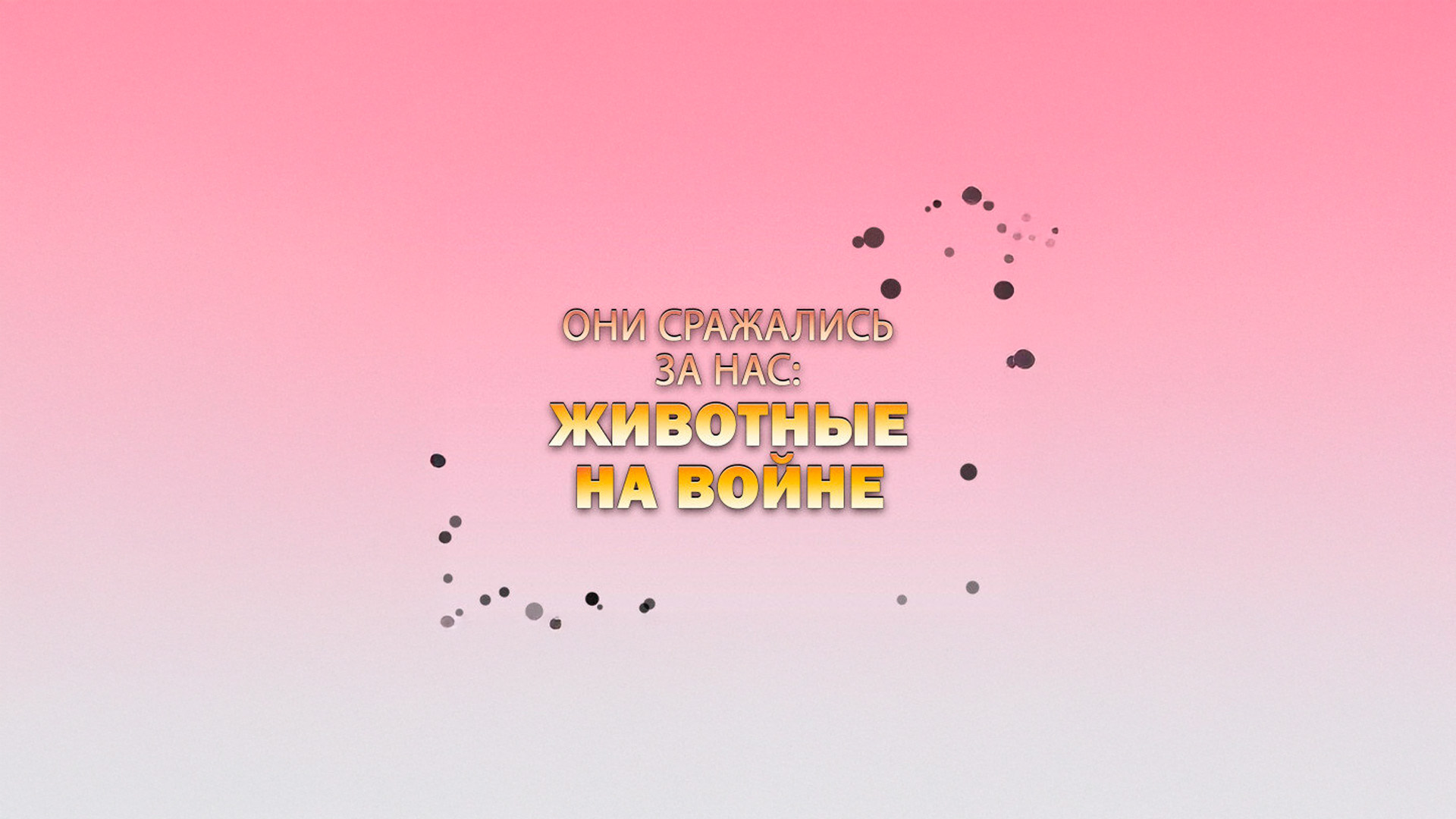 Они сражались за нас: животные на войне