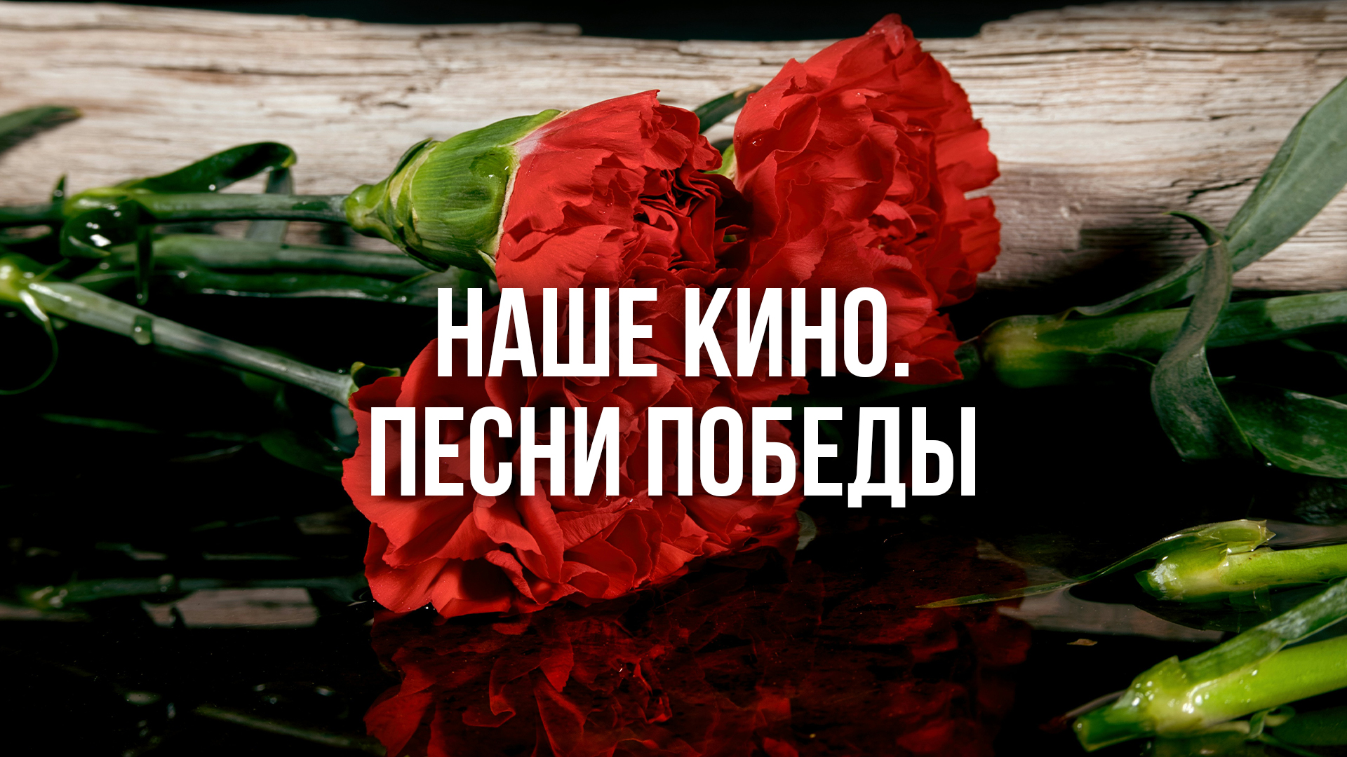 Наше кино. Песни Победы