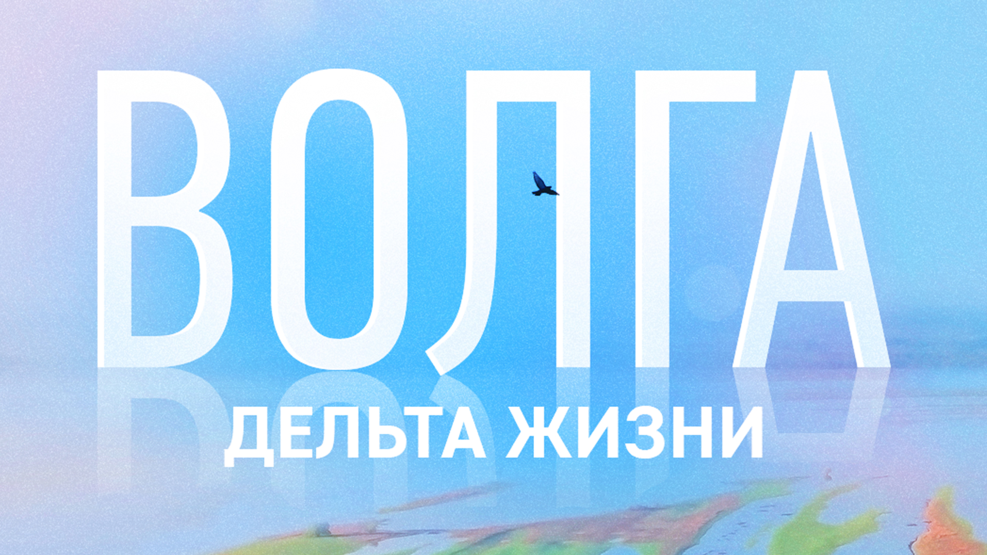 Волга-дельта жизни