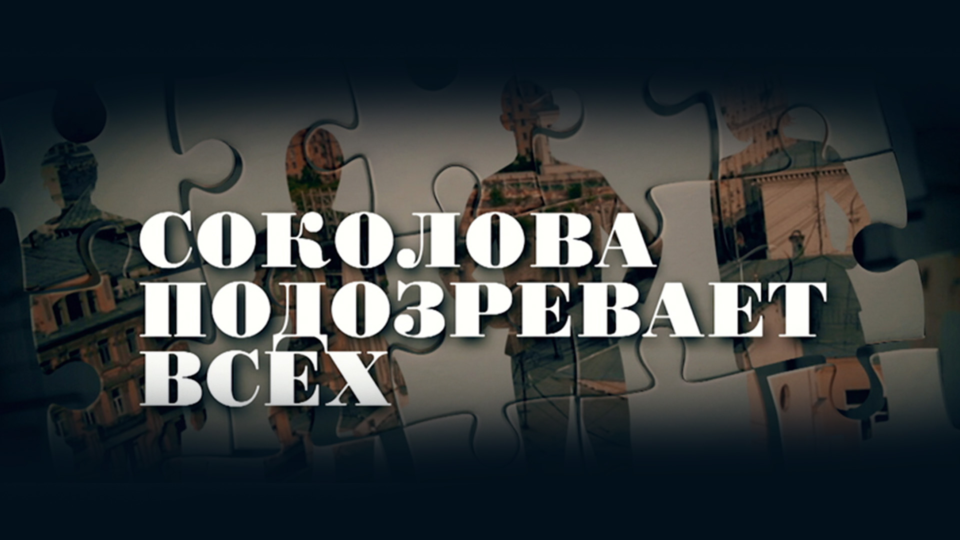 Соколова подозревает всех 6