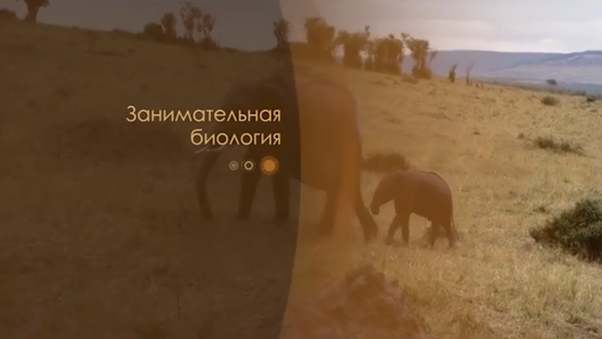 Занимательная биология