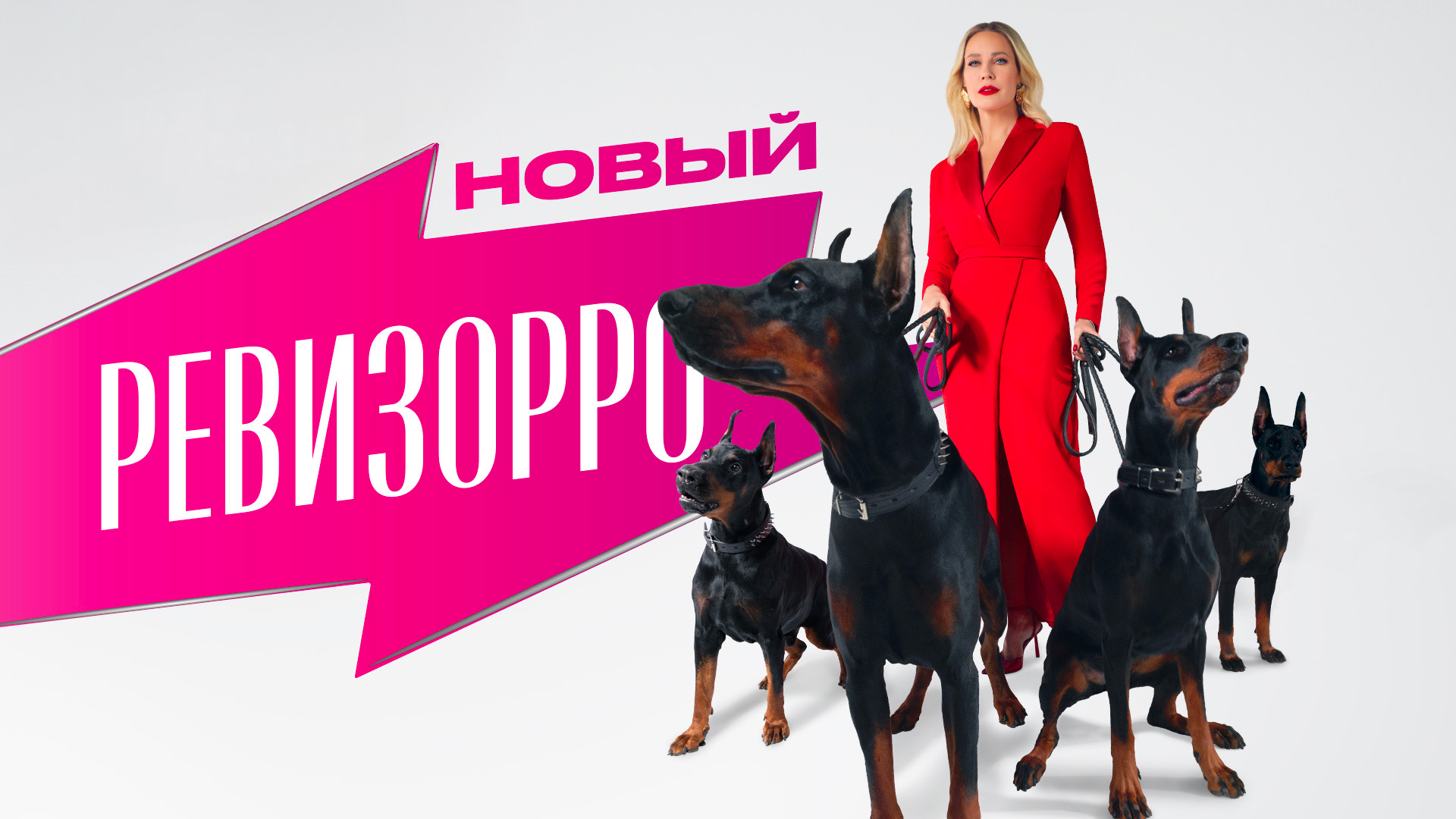 Ревизорро