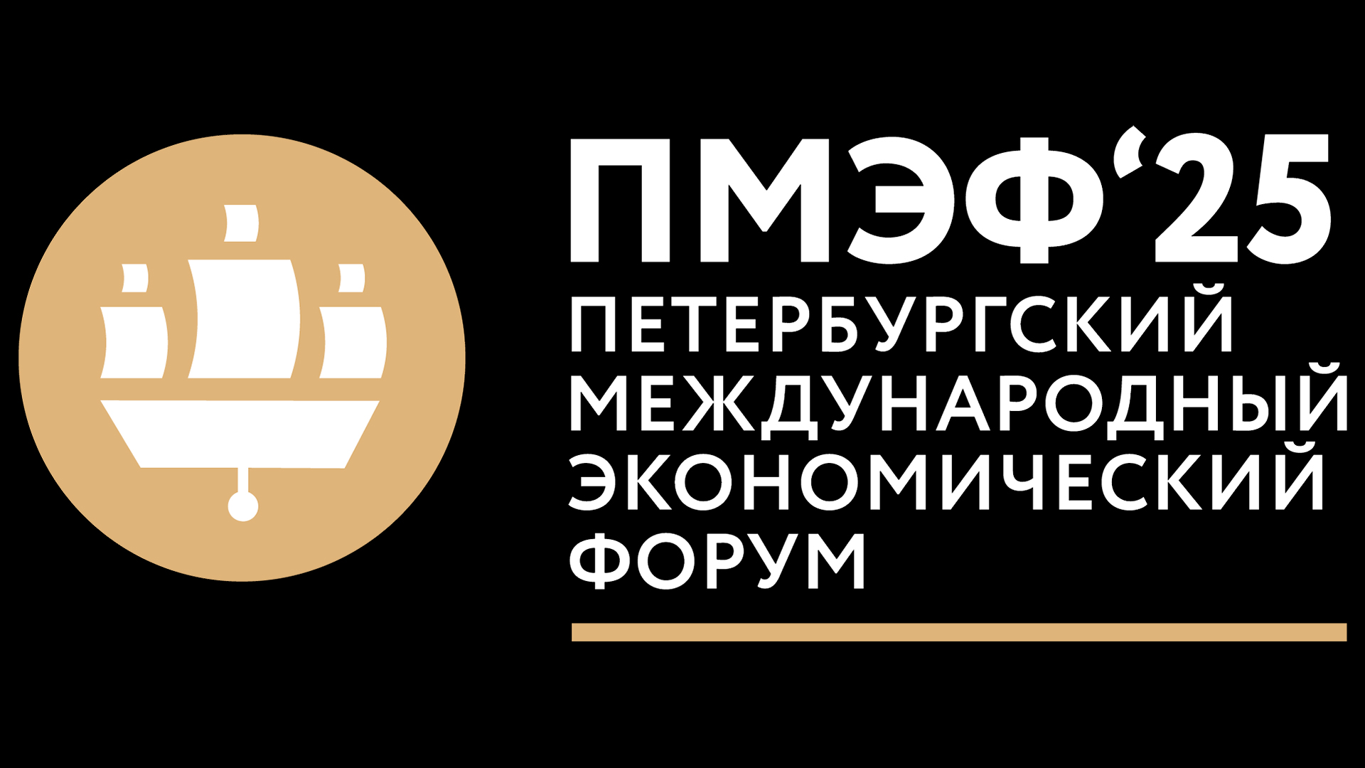 Пленарное заседание ПМЭФ
