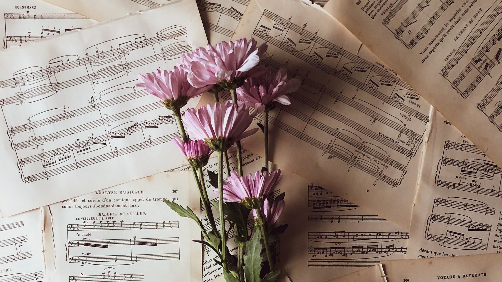 Концерт группы «Вива»