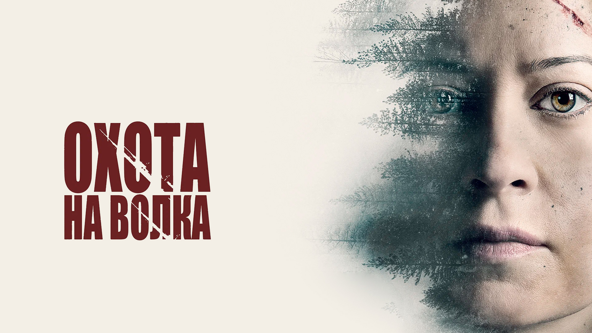 Охота на волка