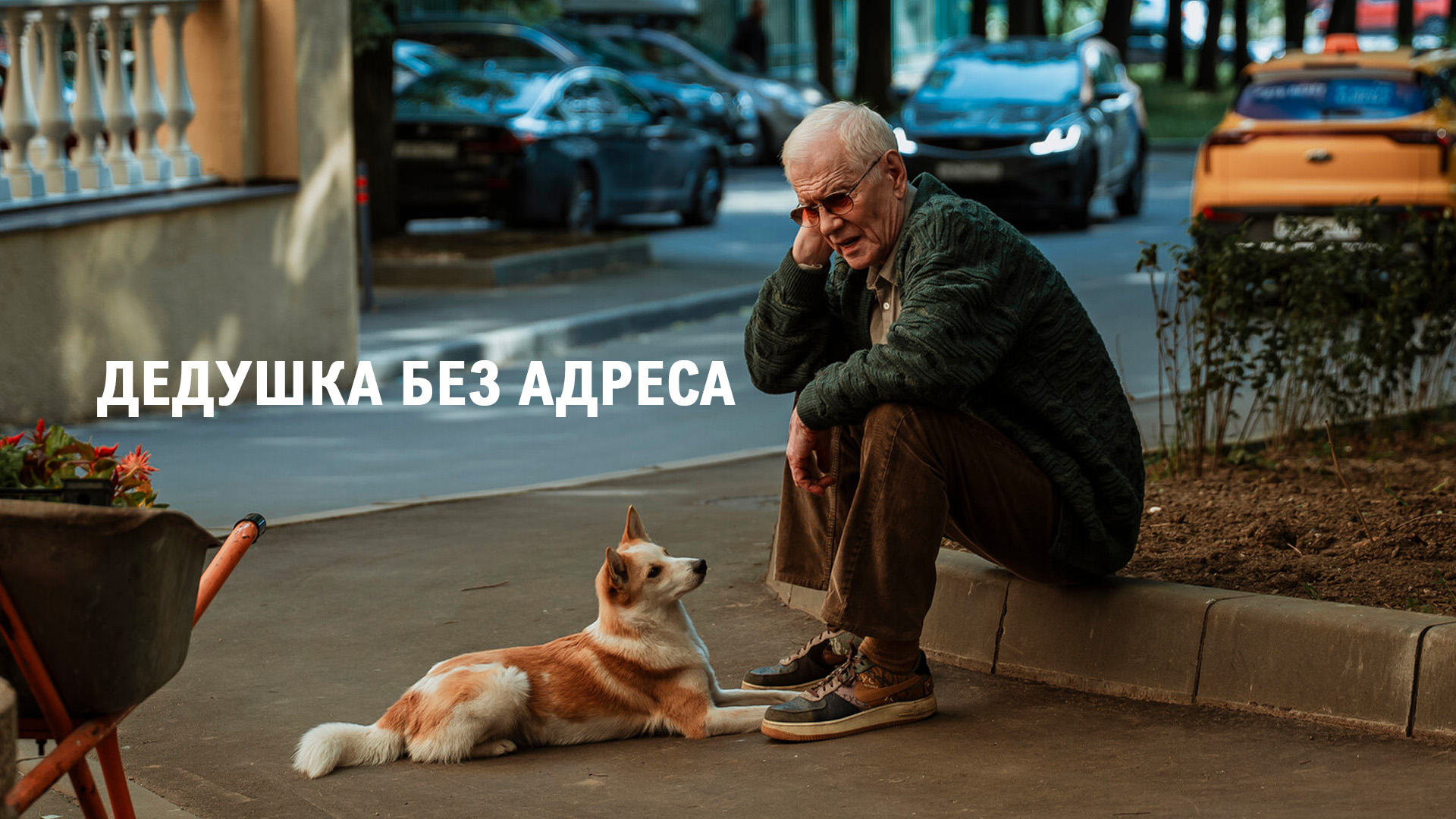 Дедушка без адреса