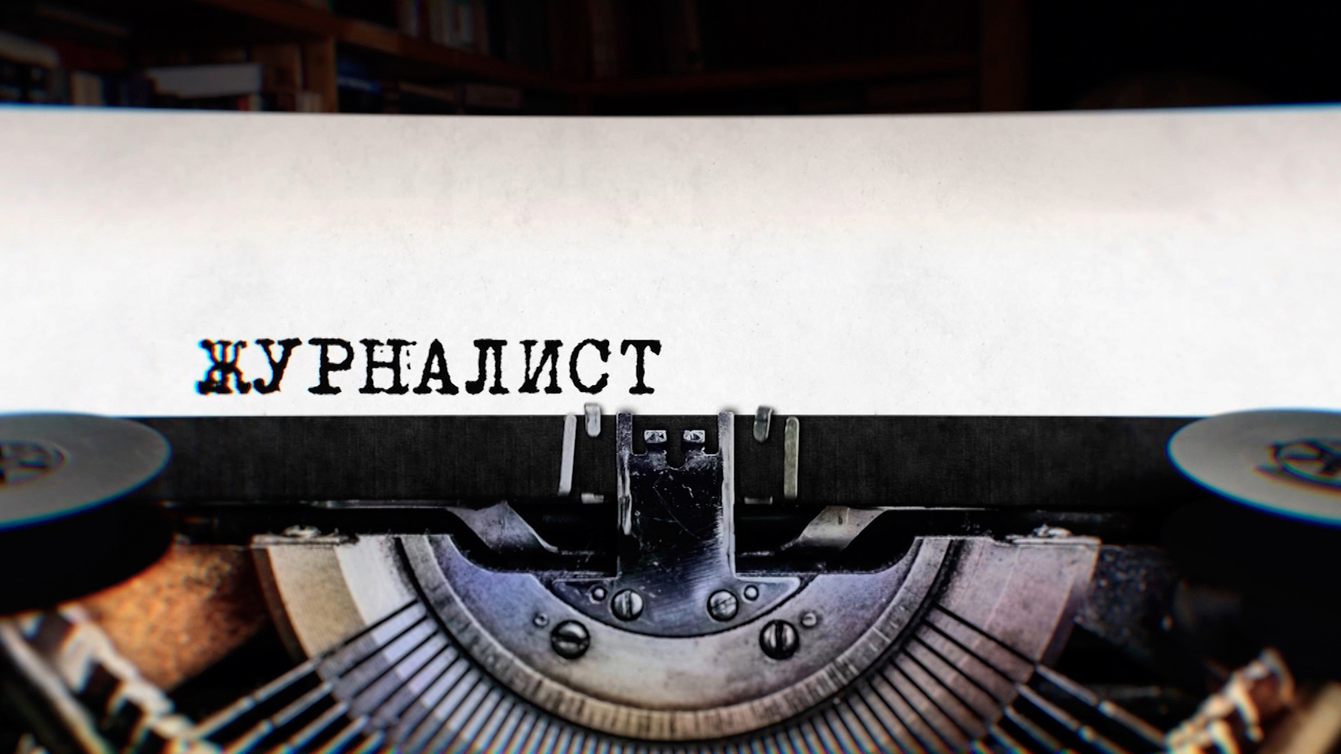 Журналист. Николай Долгополов