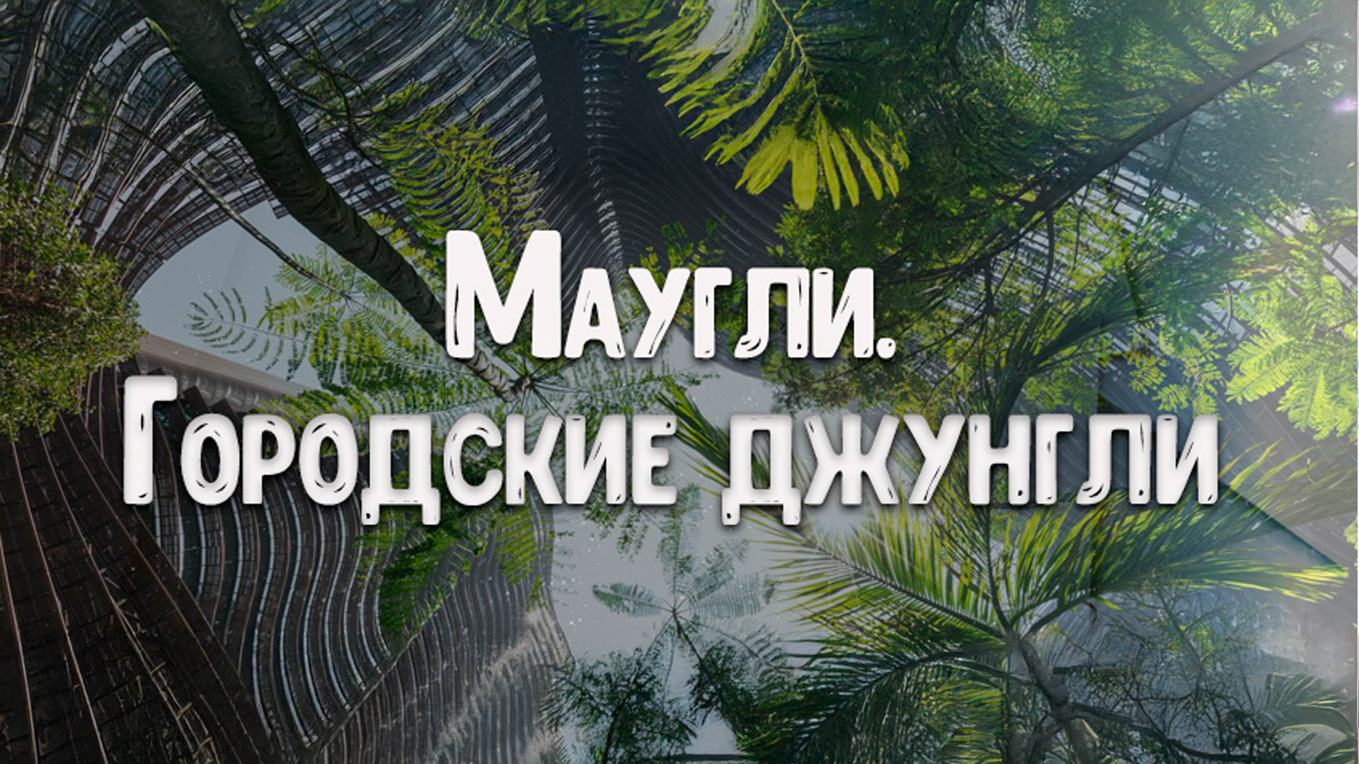 Маугли. Городские джунгли