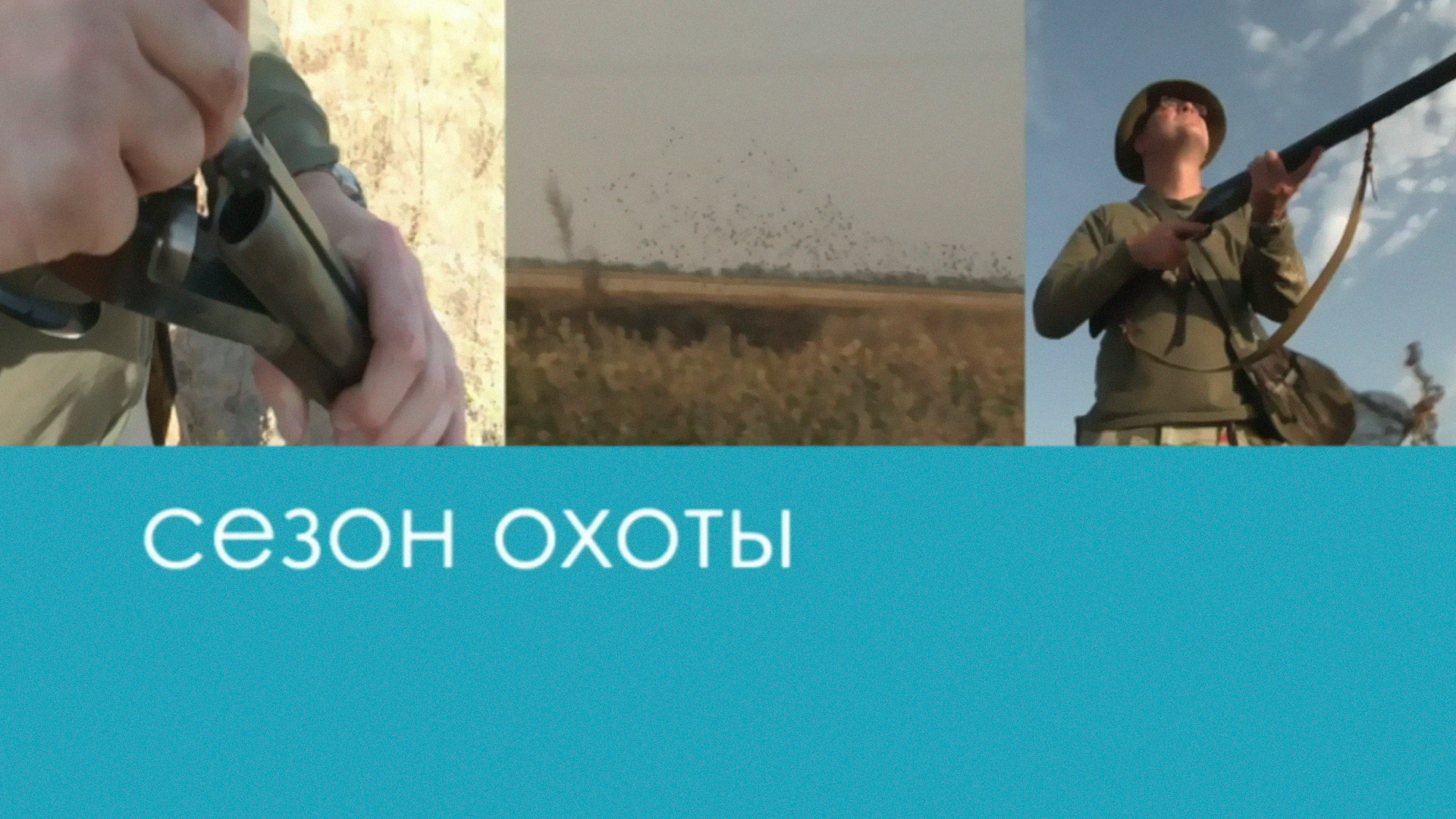 Сезон охоты