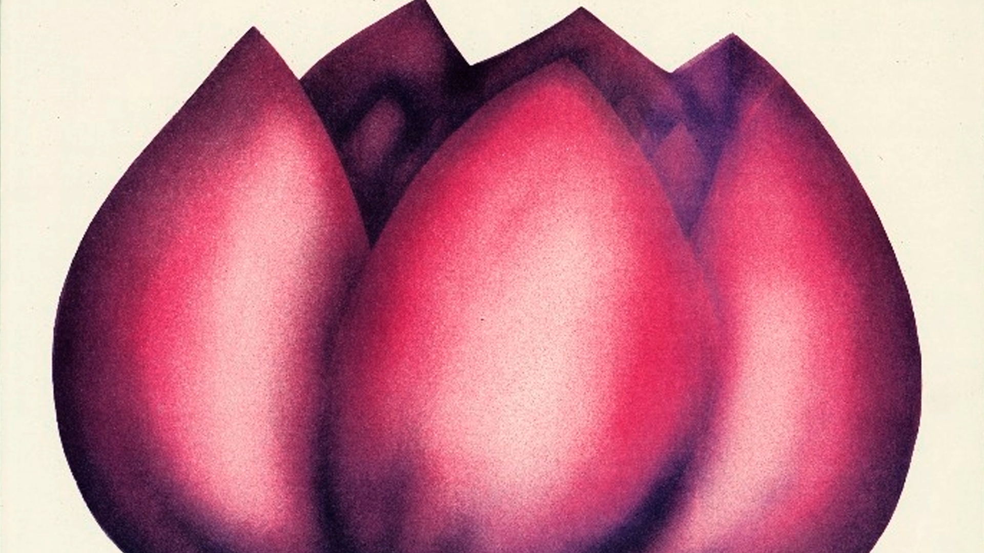 Короткая встреча