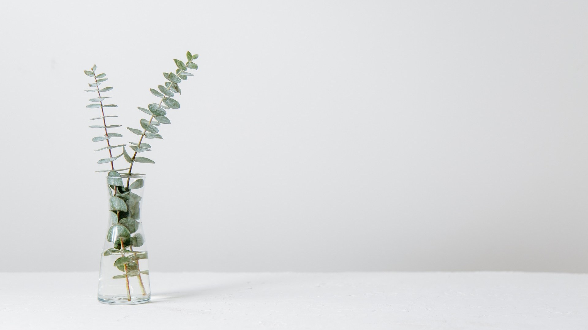 Рождественское поздравление Митрополита Санкт-Петербургского и Ладожского Варсонофия