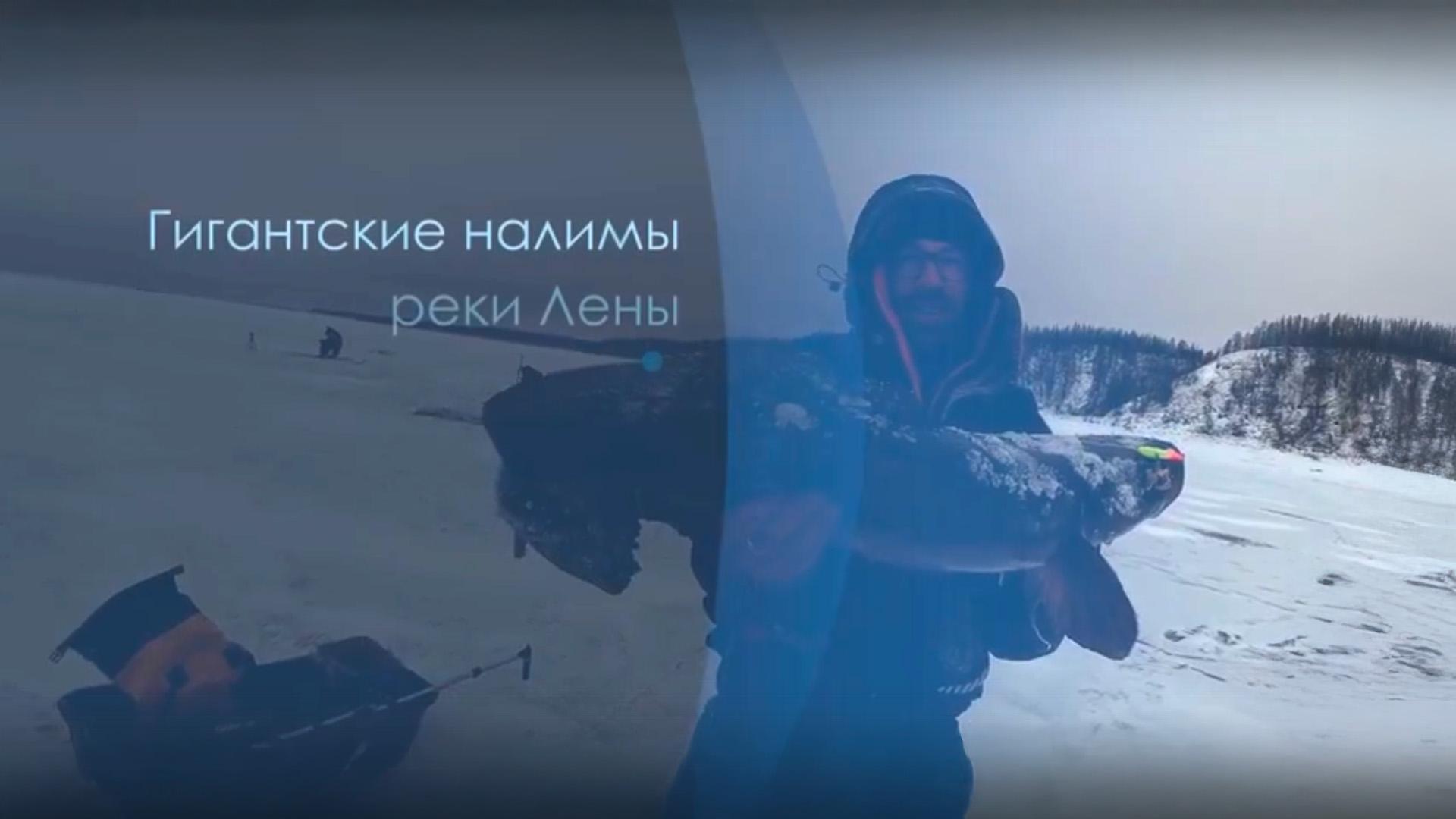 Гигантские налимы реки Лены