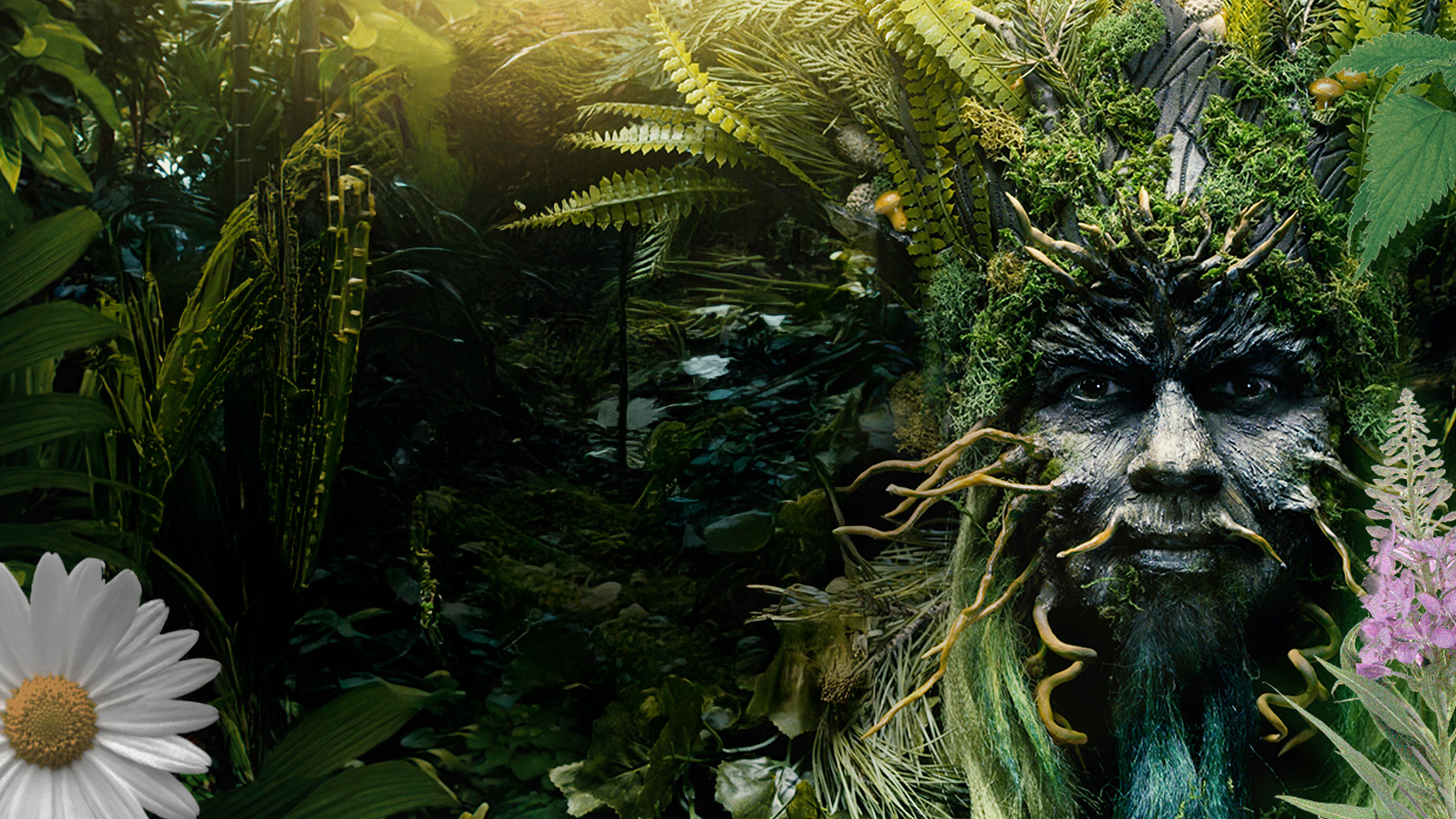 Какого лешего! Лес под водой: за грибами на лодке