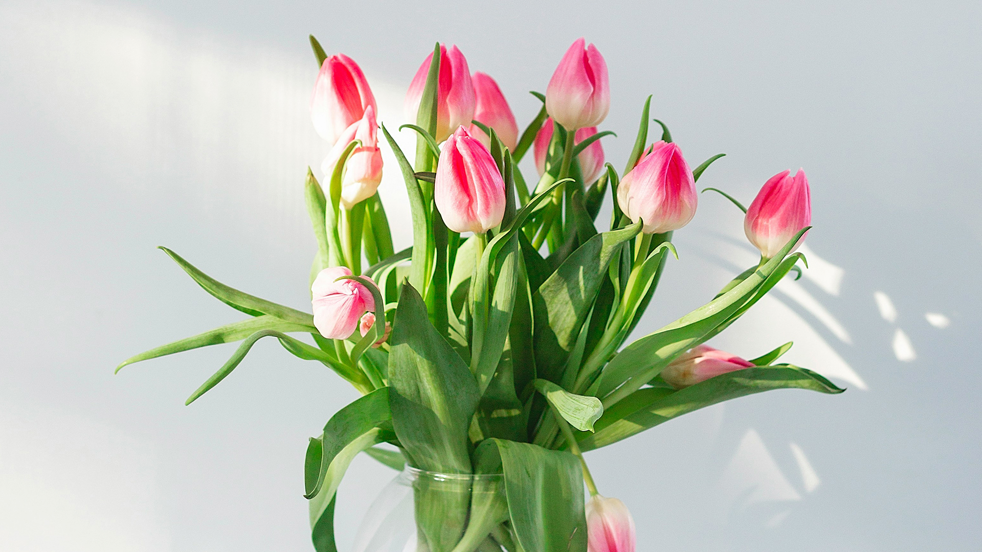 Праздничный концерт, посвящённый Международному женскому дню 8 марта