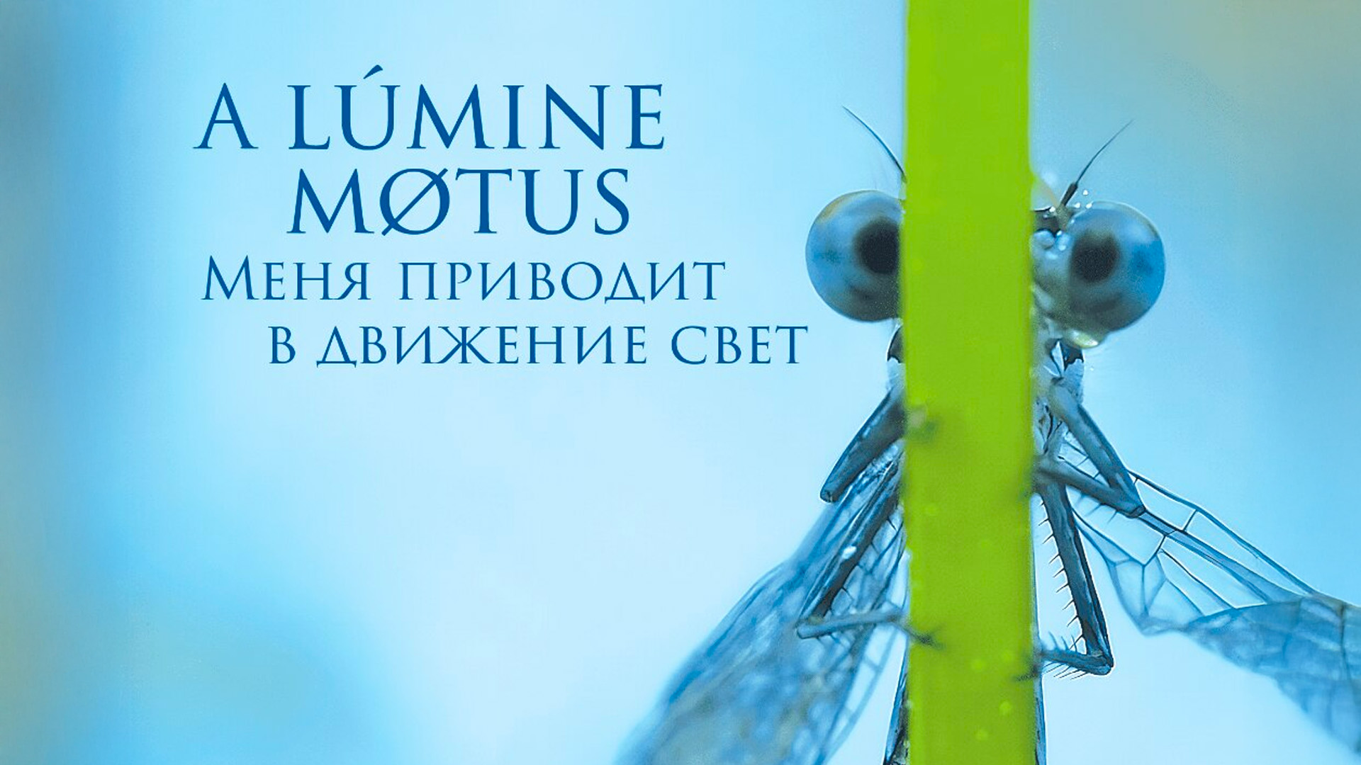 Меня приводит в движение свет