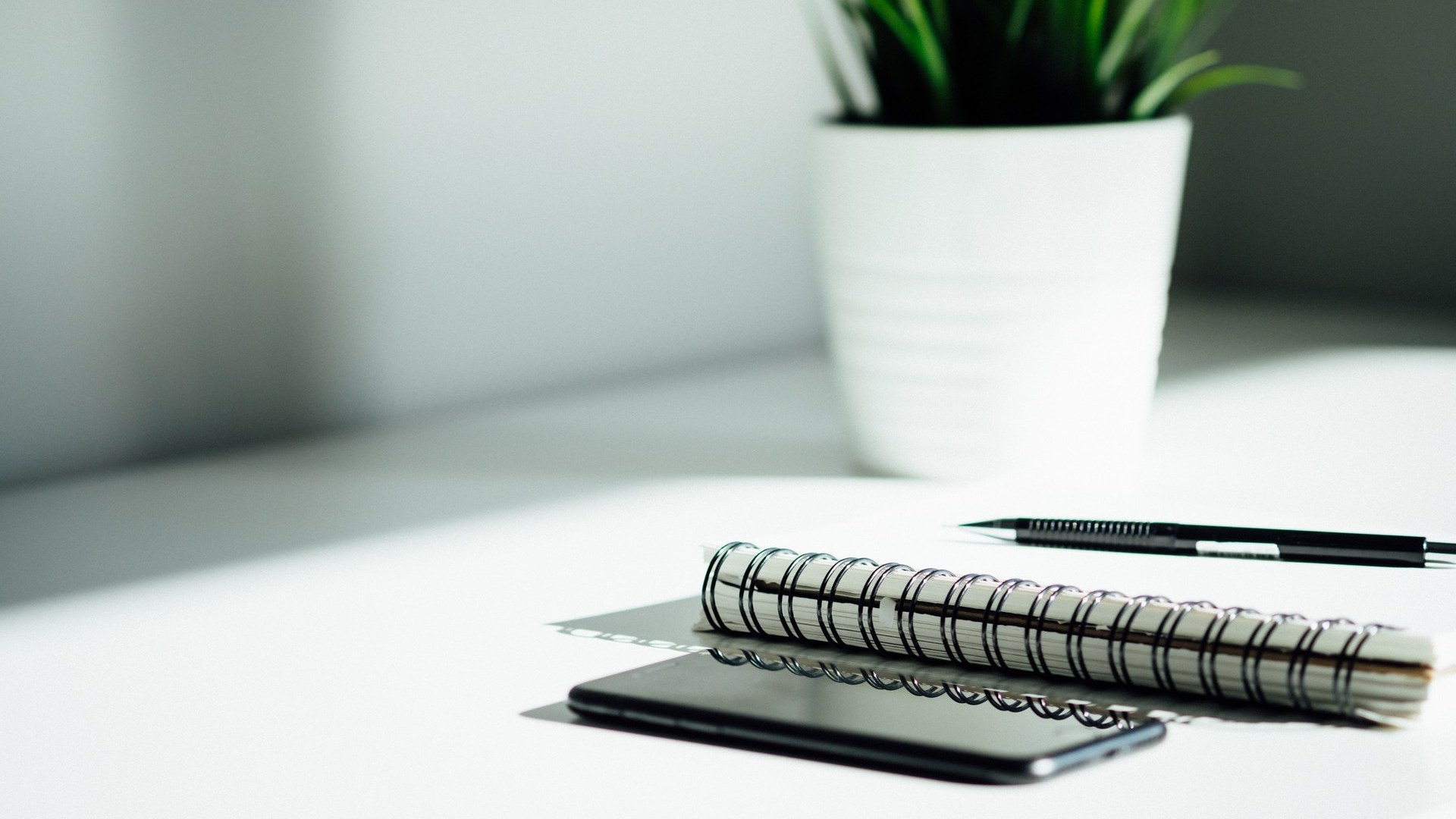 Любовь в каждой рыбке