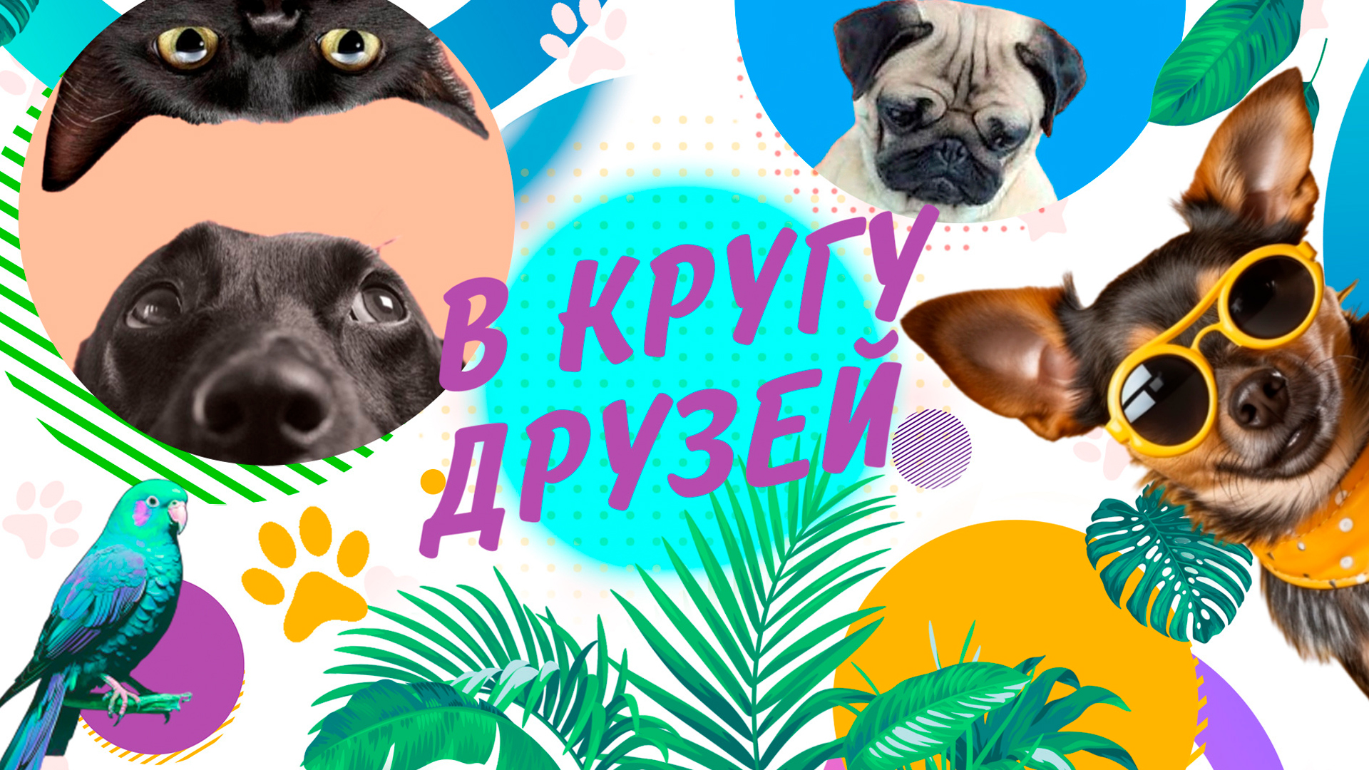 В кругу друзей