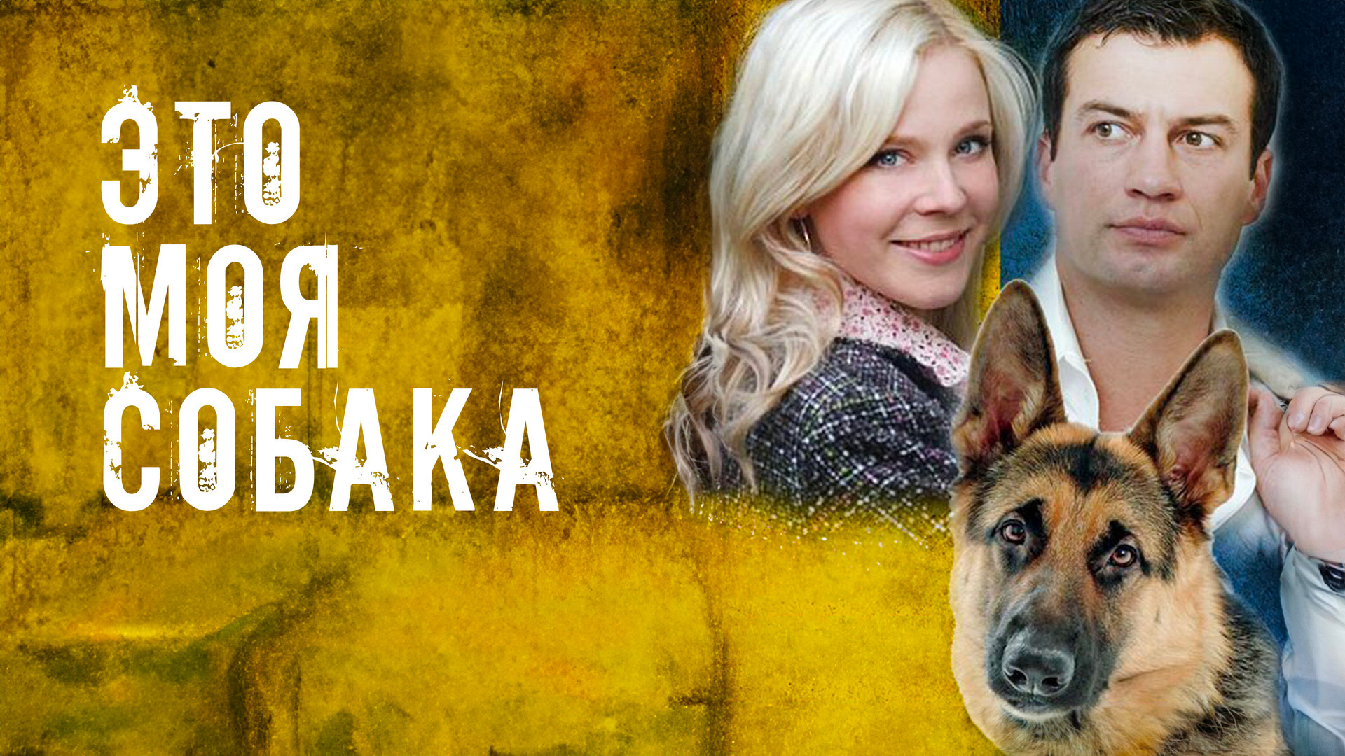 Это моя собака