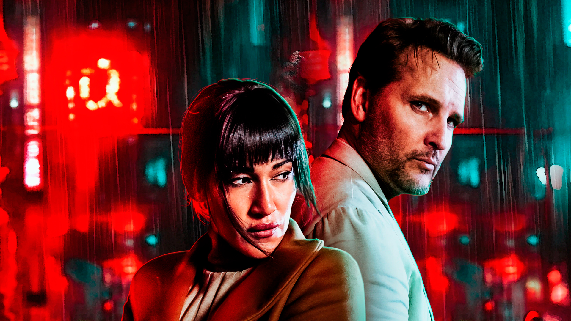 В паутине обмана