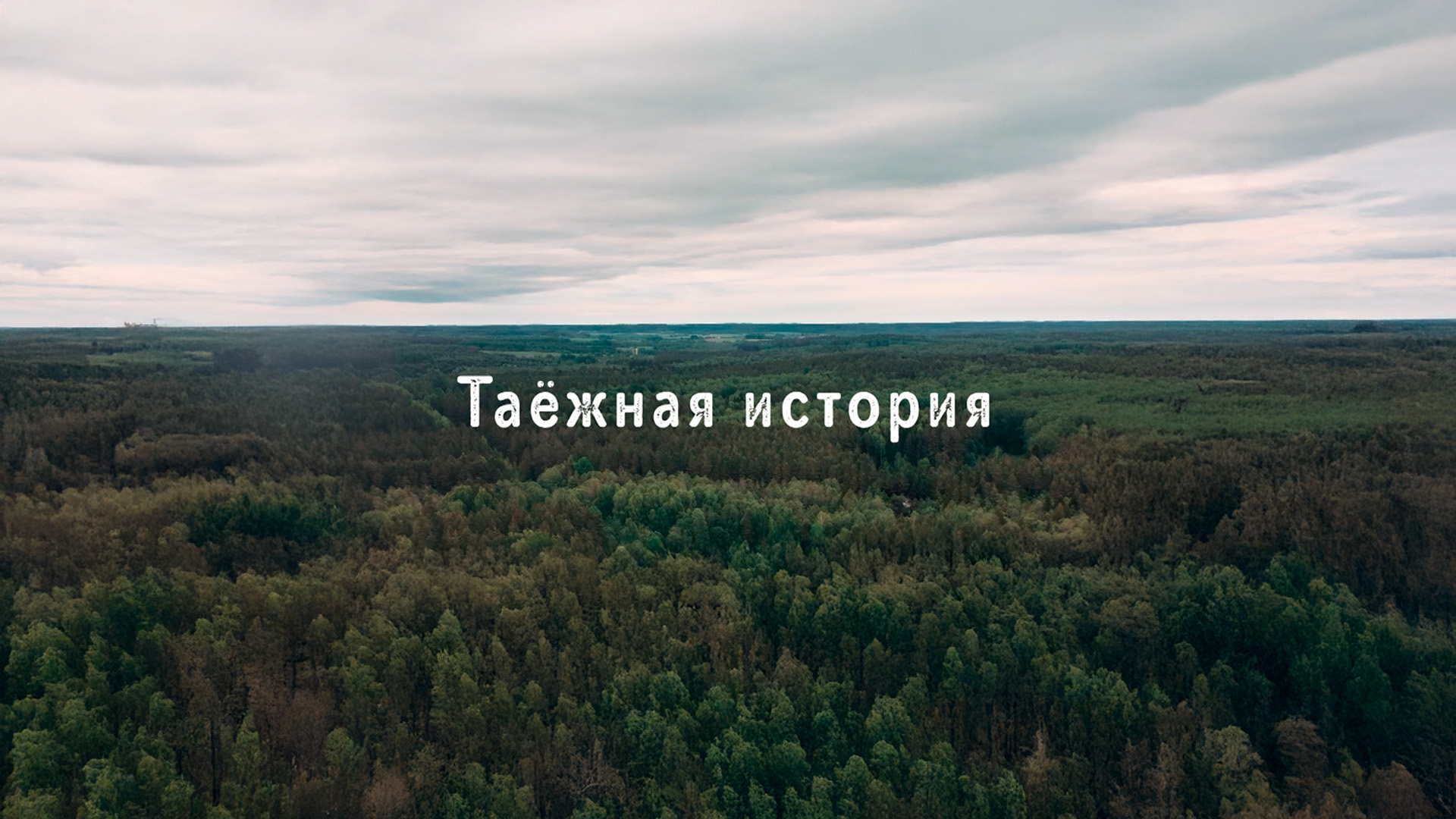 Таёжная история