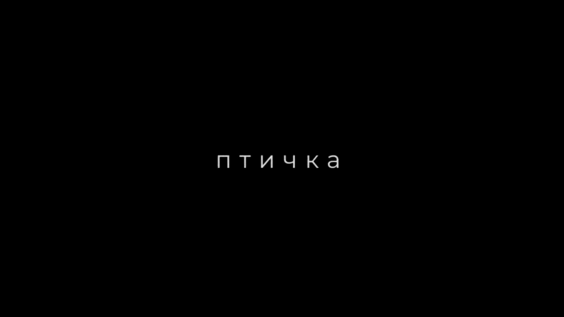 Птичка