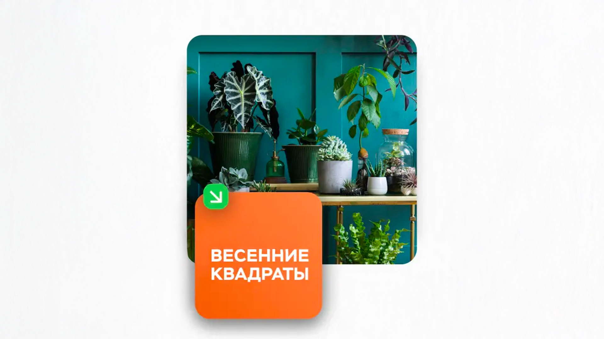 Весенние квадраты