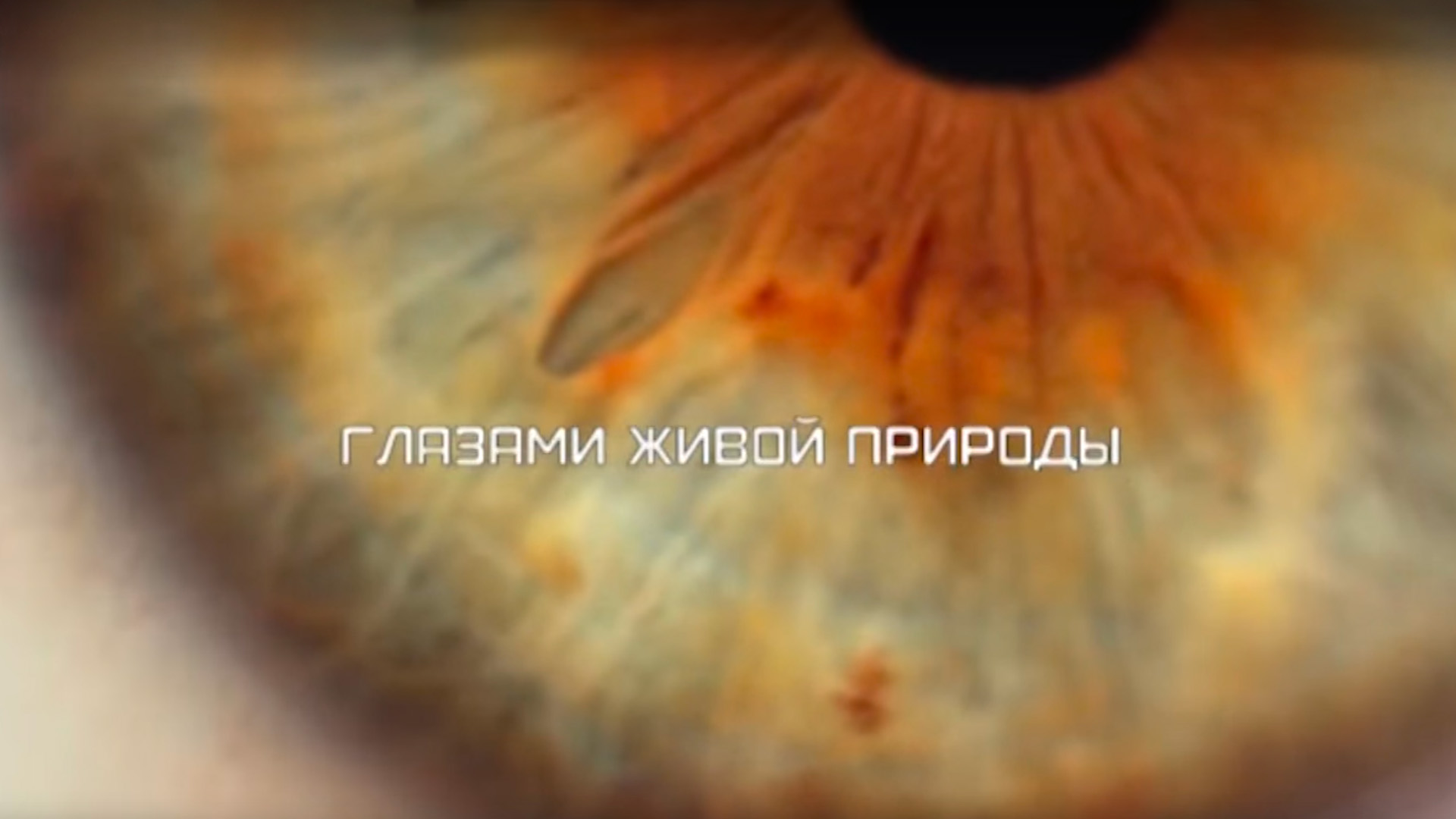 Глазами живой природы