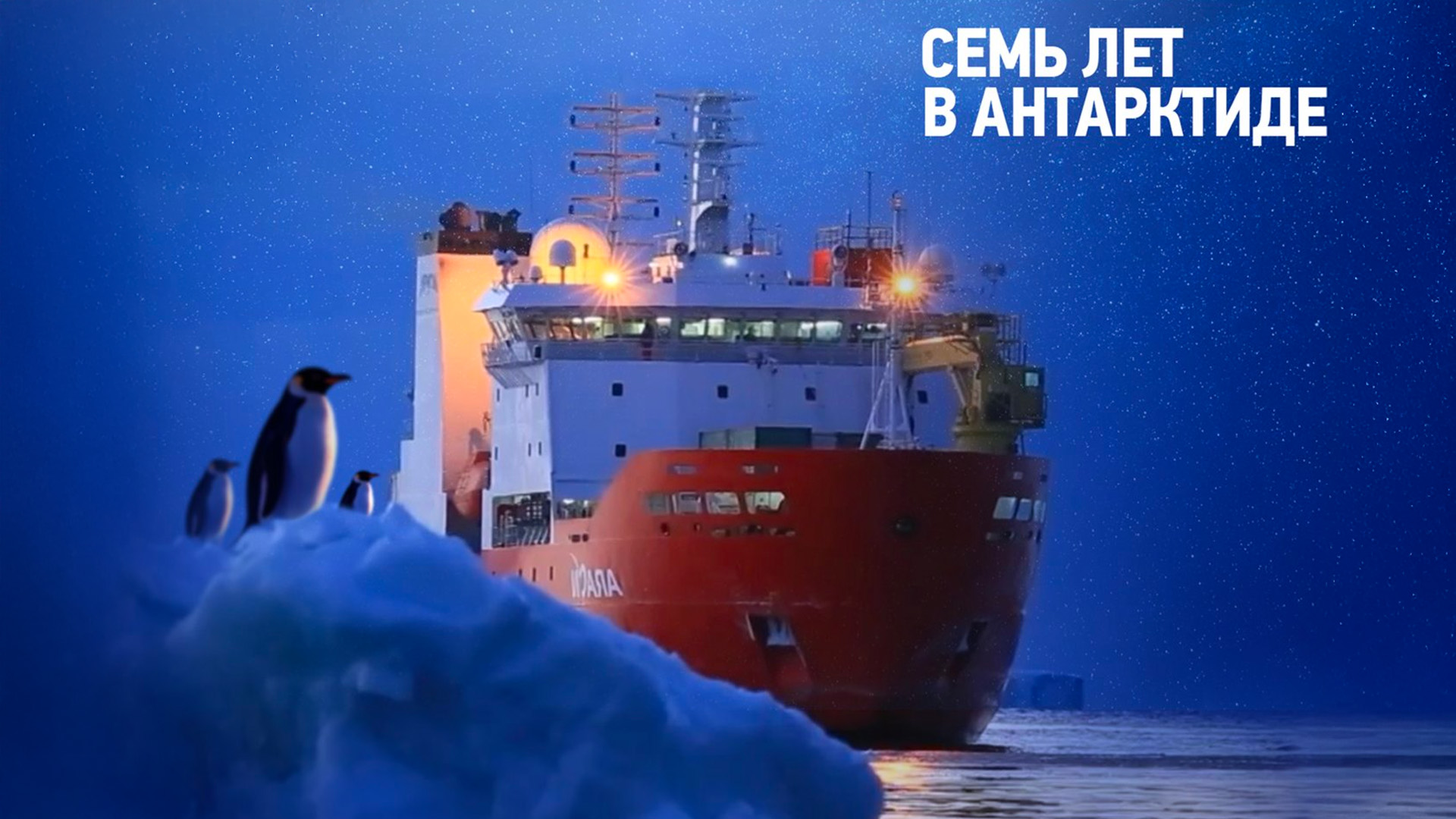 Семь лет в Антарктиде