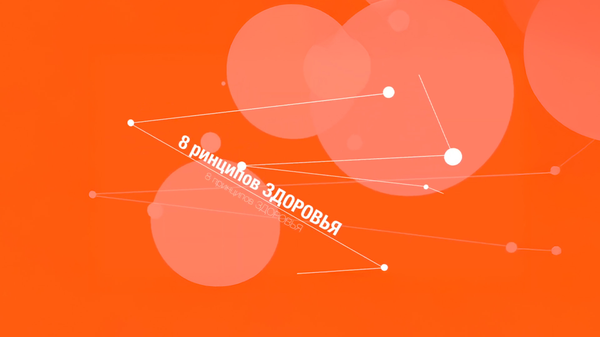 8 принципов здоровья