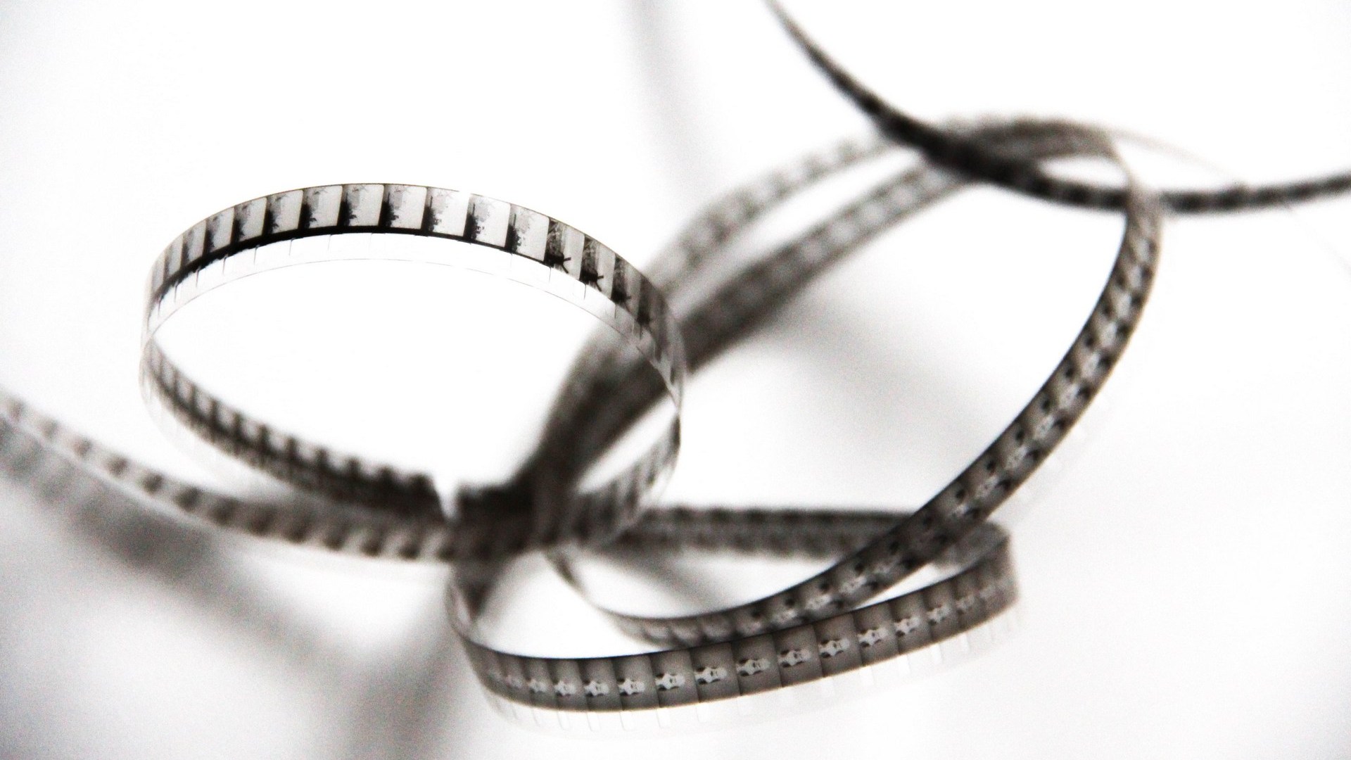 Сказочный мир грибов