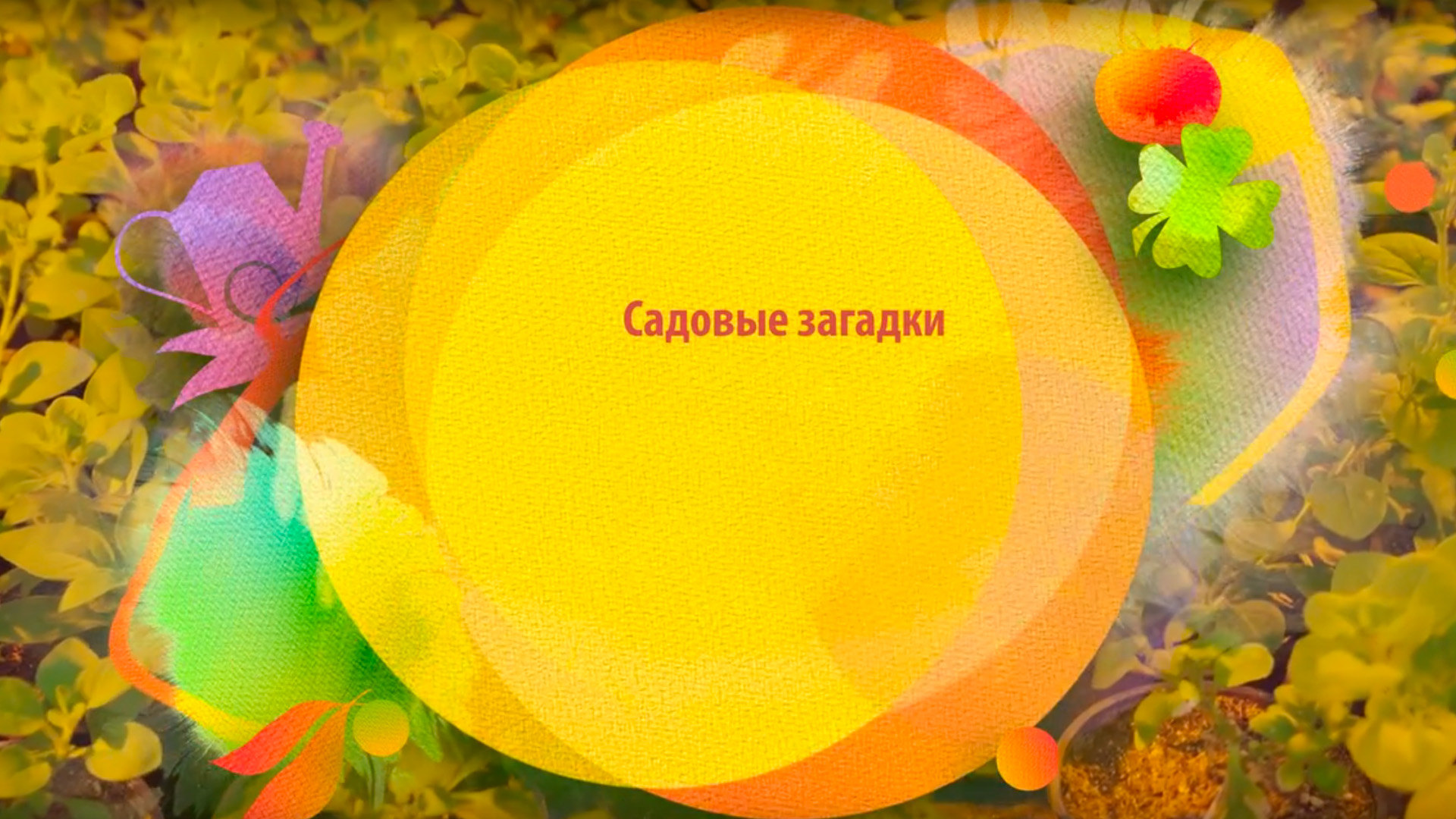 Сaдовые загадки